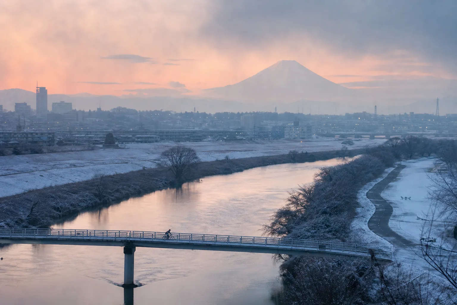 Discover the Best of West Tokyo in a Day