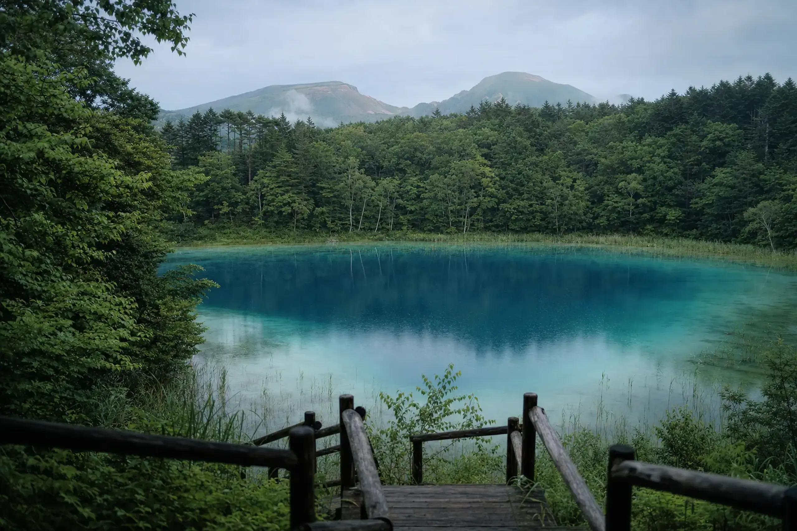 the cobalt-blue and cloudy-jade Goshikinuma five-coloured ponds scattered through the forest below Mount Bandai