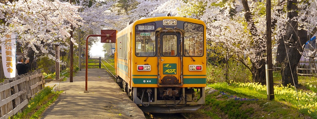 Ashinokoen Station (Ashinokōen Station)|蘆野公園車站