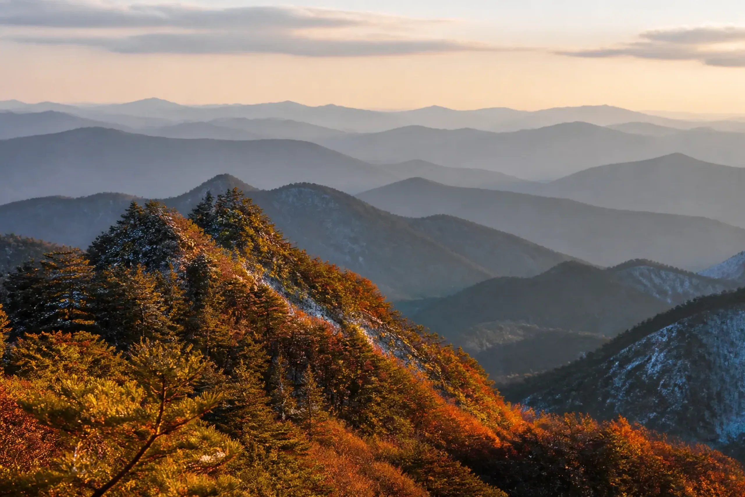 Forested autumn mountain ridgelines in Nagano Prefecture, Japan's wild-mushroom heartland