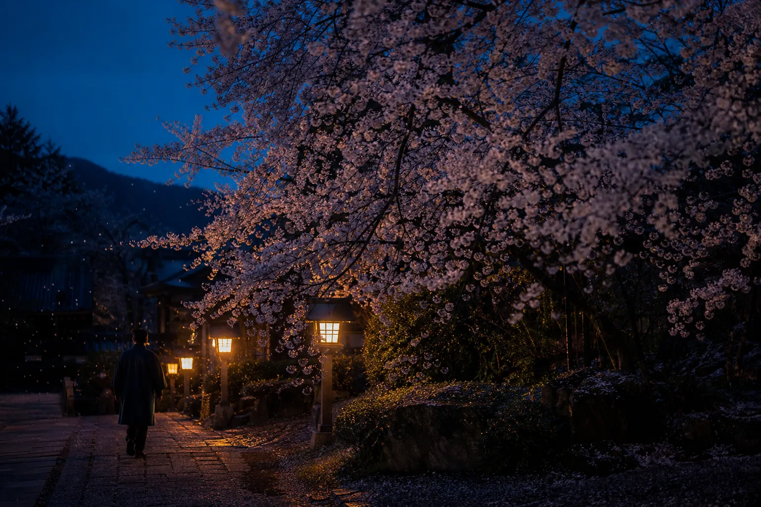 The Luxury Traveler’s Guide to the 2026 Cherry Blossom Festival