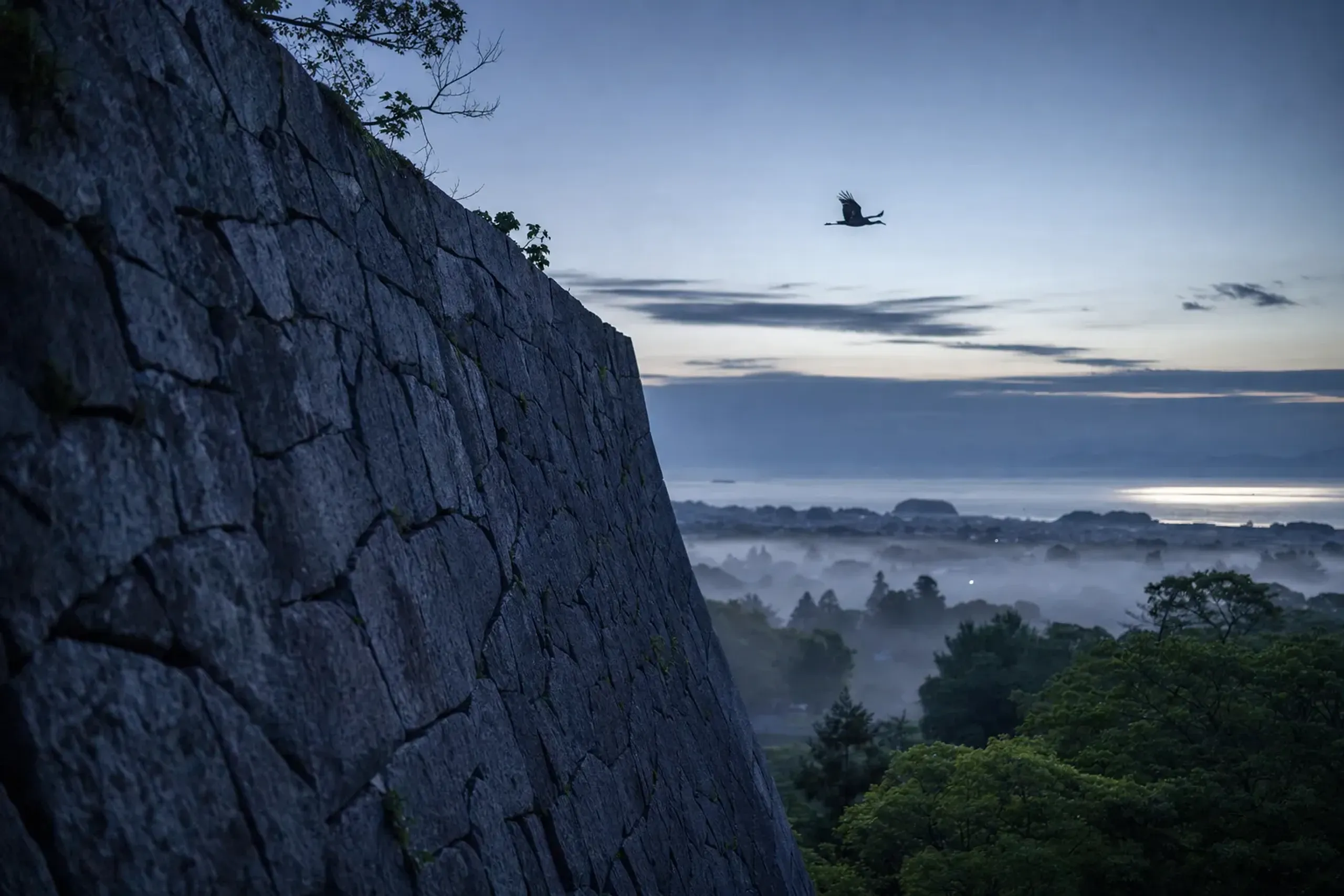the high, finely-fitted stone walls of Fukuoka Castle, known as Sekijō, rising above Maizuru Park with the silhouette of a crane spreading its wings toward the sea