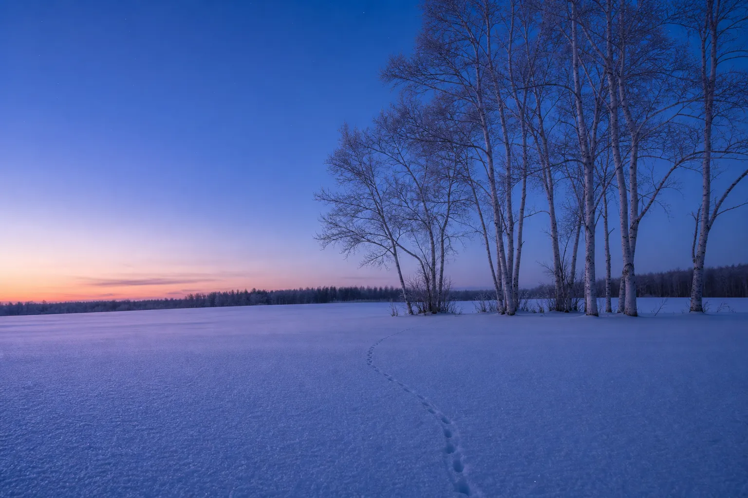 Hokkaido: Japan's Hidden New Luxury Escape