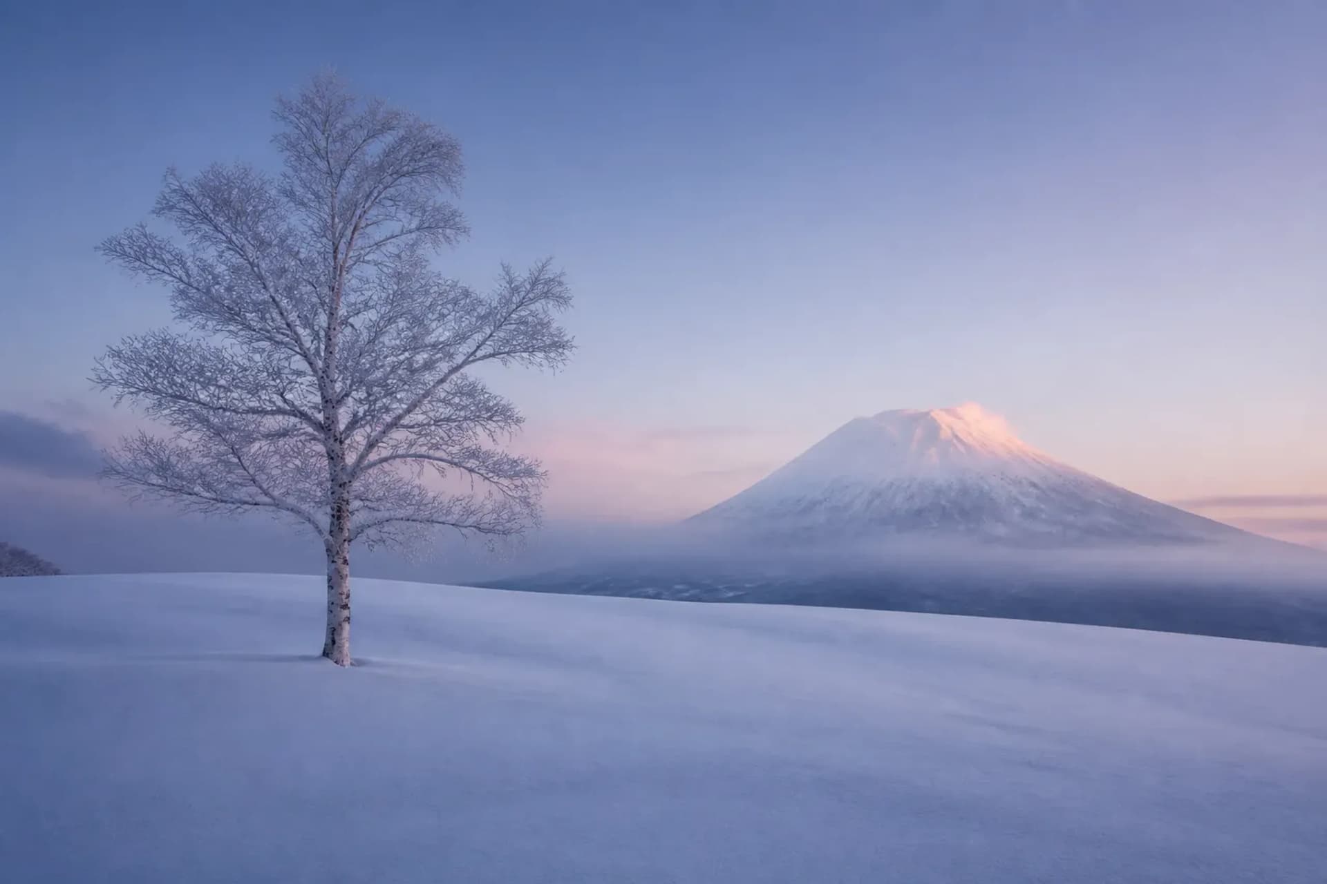 Niseko, Furano, or Kiroro: Choosing a Hokkaido Ski Base