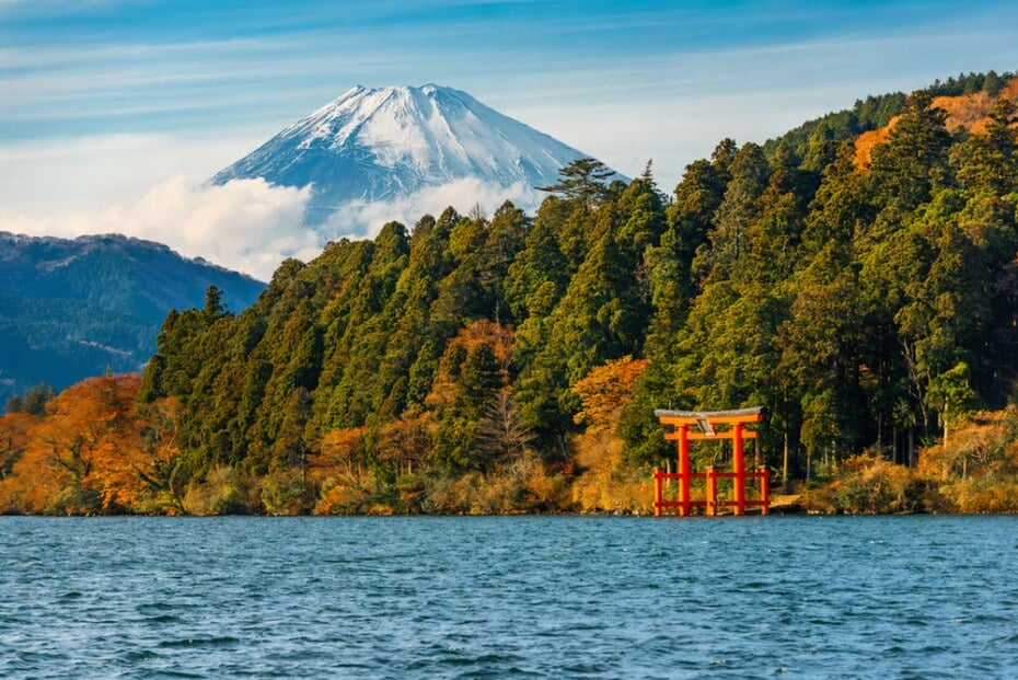 autumn, luxury