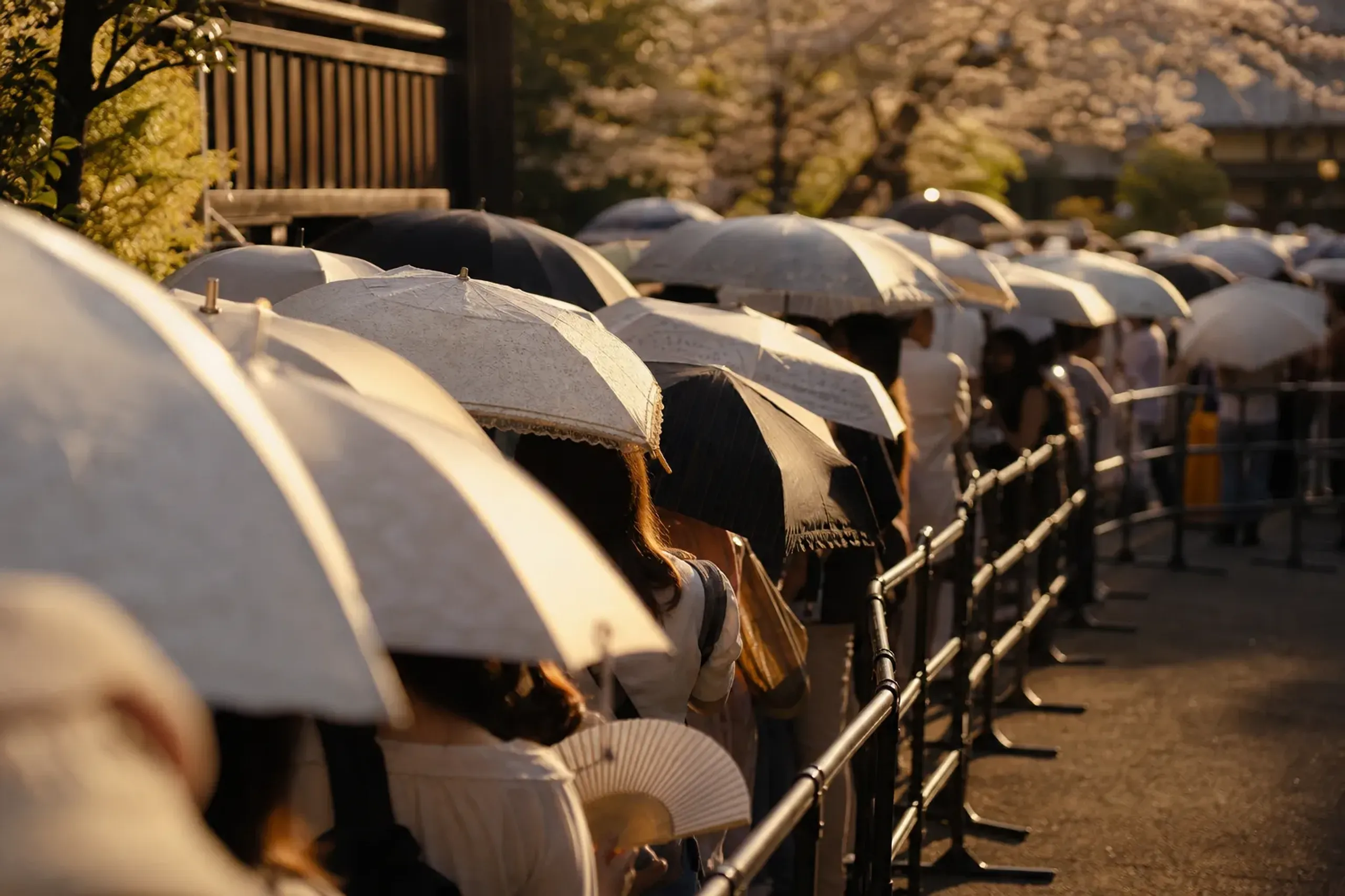 Guests waiting in a shaded queue at Tokyo Disney Resort during summer heat