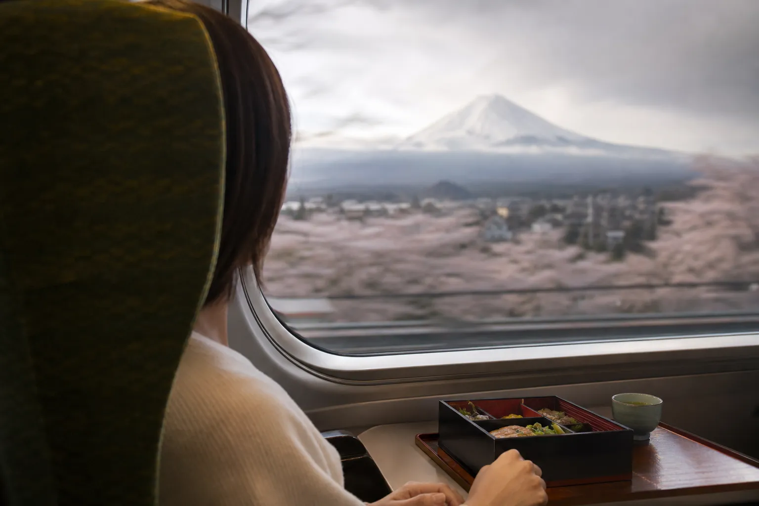 Kyoto to Tokyo, Private Travel