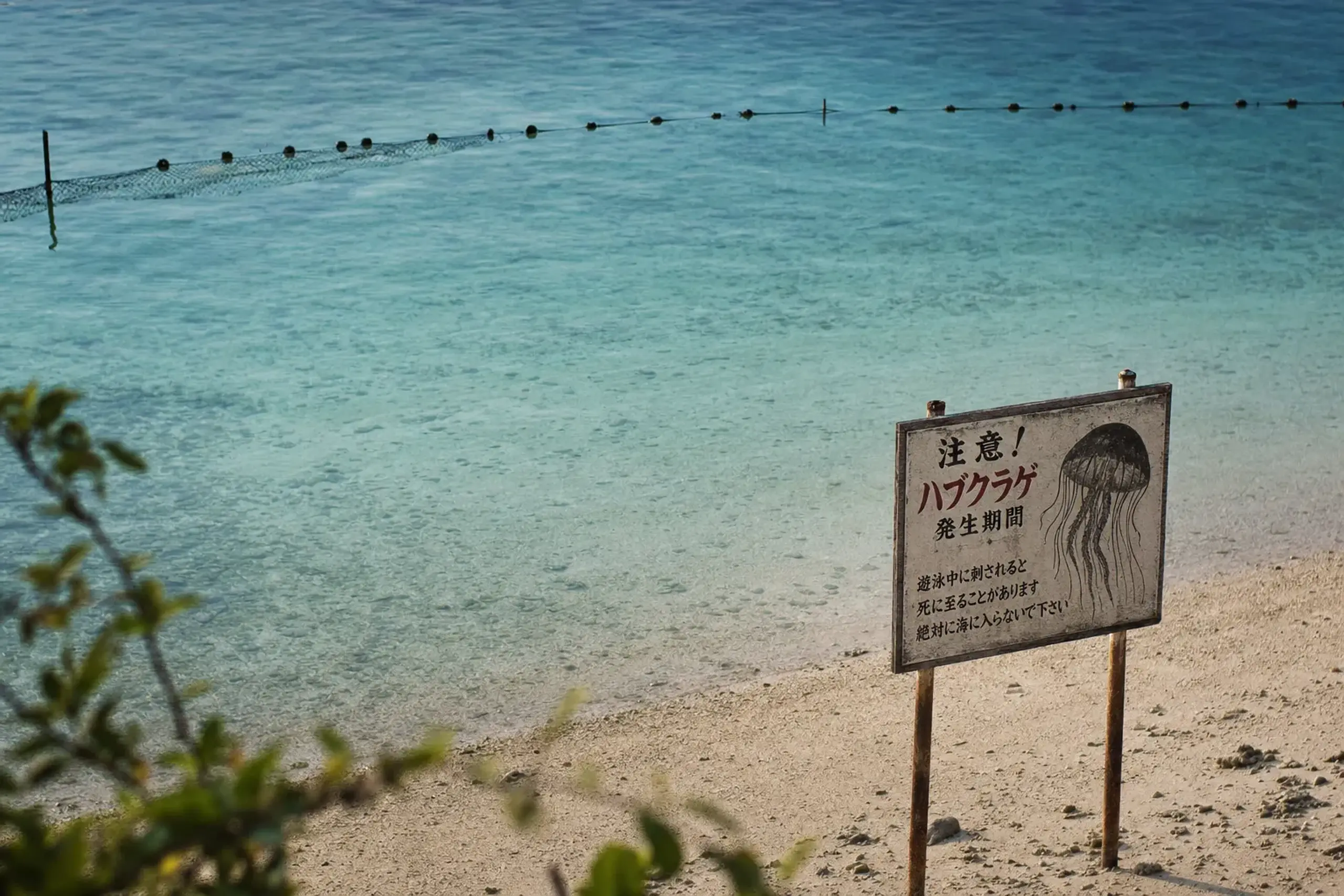 Okinawa Prefecture issues a caution period each year for box
