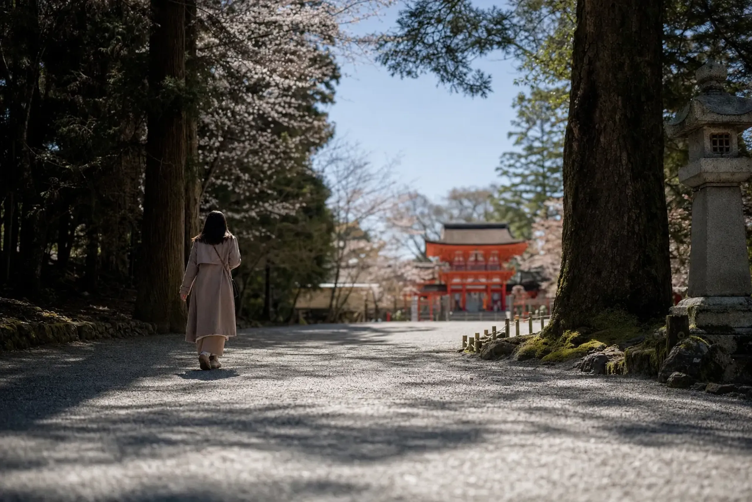 Inside the shrine grounds, the feeling changes entirely. The
