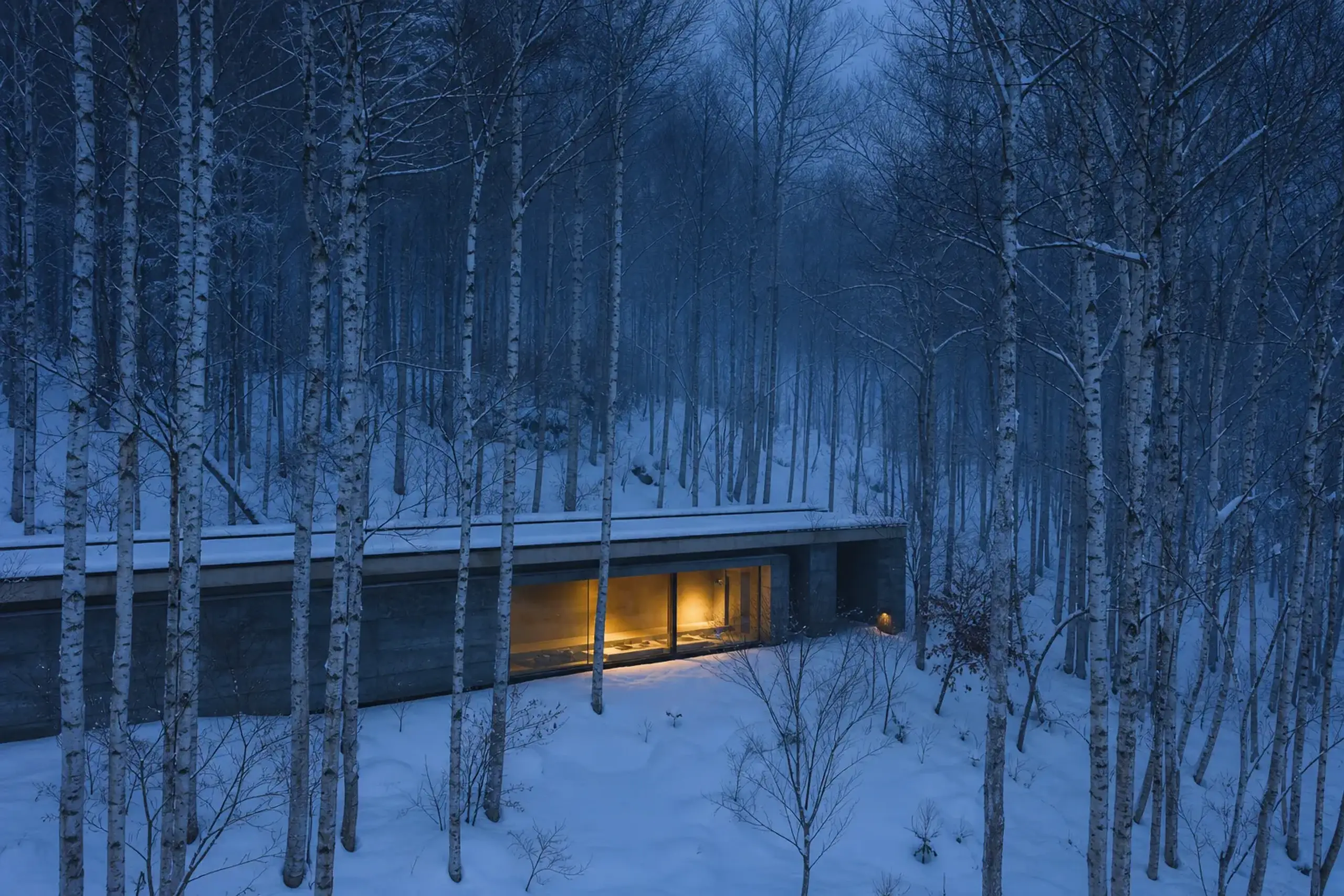Modern minimalist architecture blending with the natural forest in Karuizawa