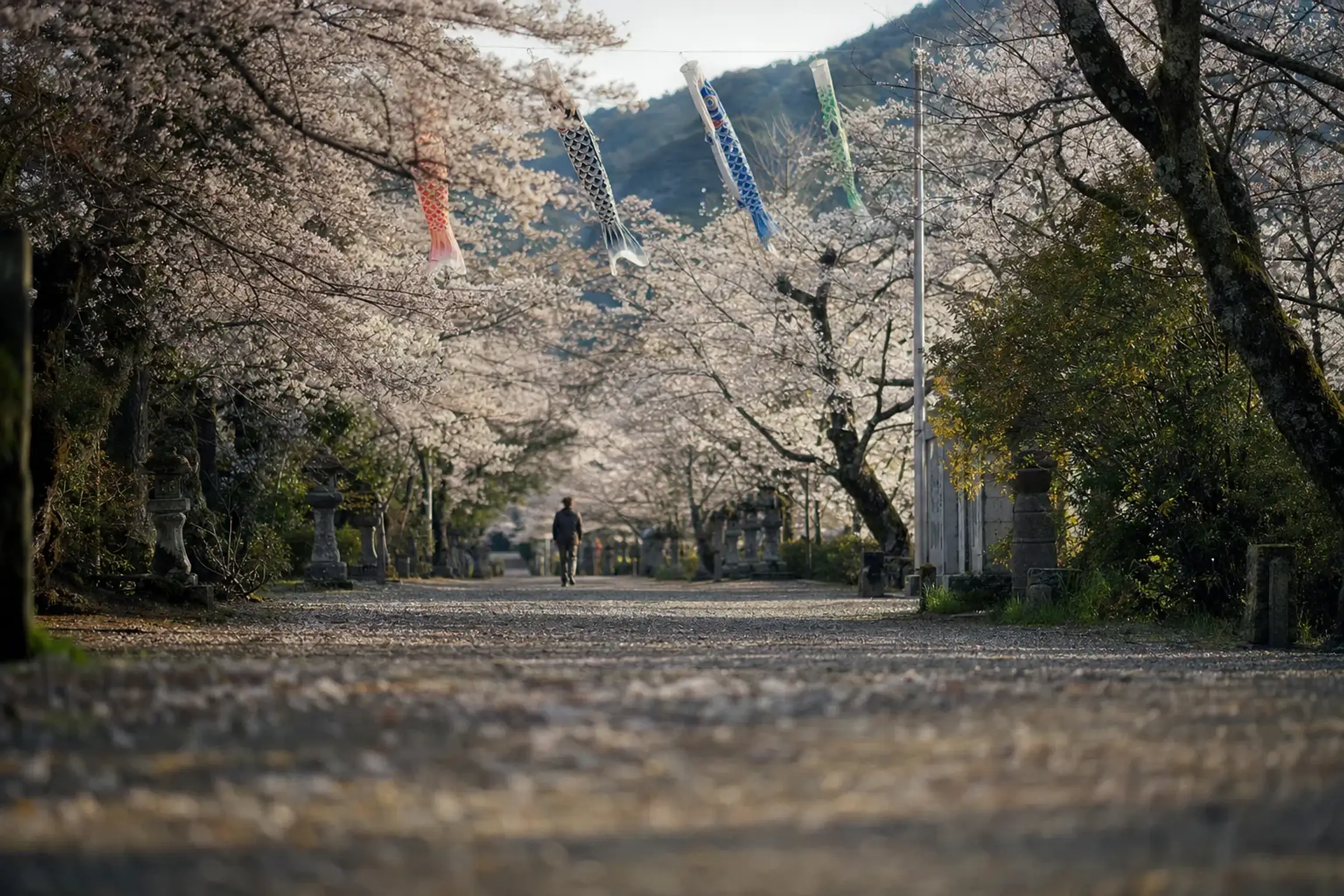 Walking is pleasant on a fair day. Still, the last