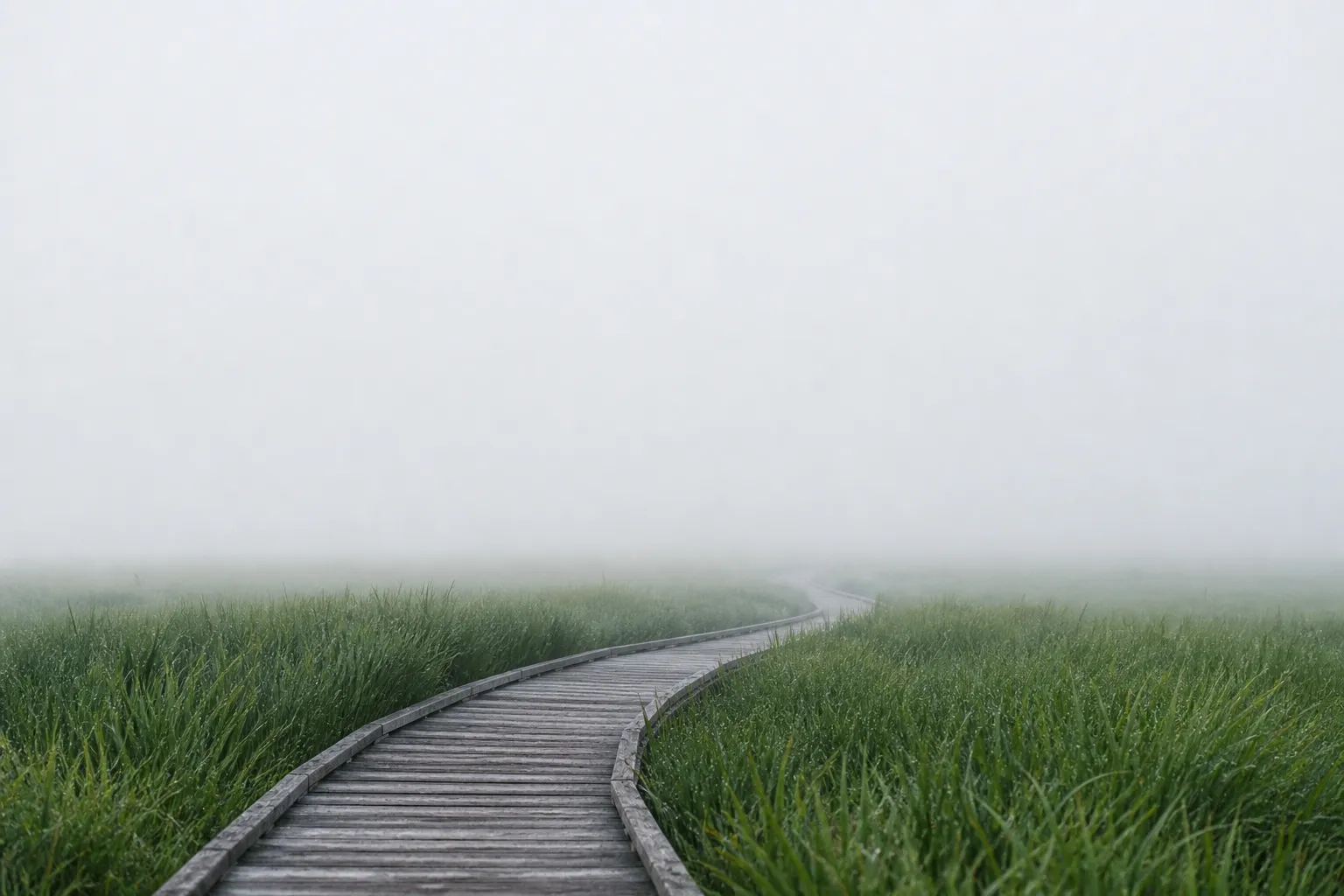 A long wooden boardwalk winding through the vibrant green Kushiro Marshland, partially veiled by a thick, ethereal white summer fog under soft, diffused daylight in eastern Hokkaido.
