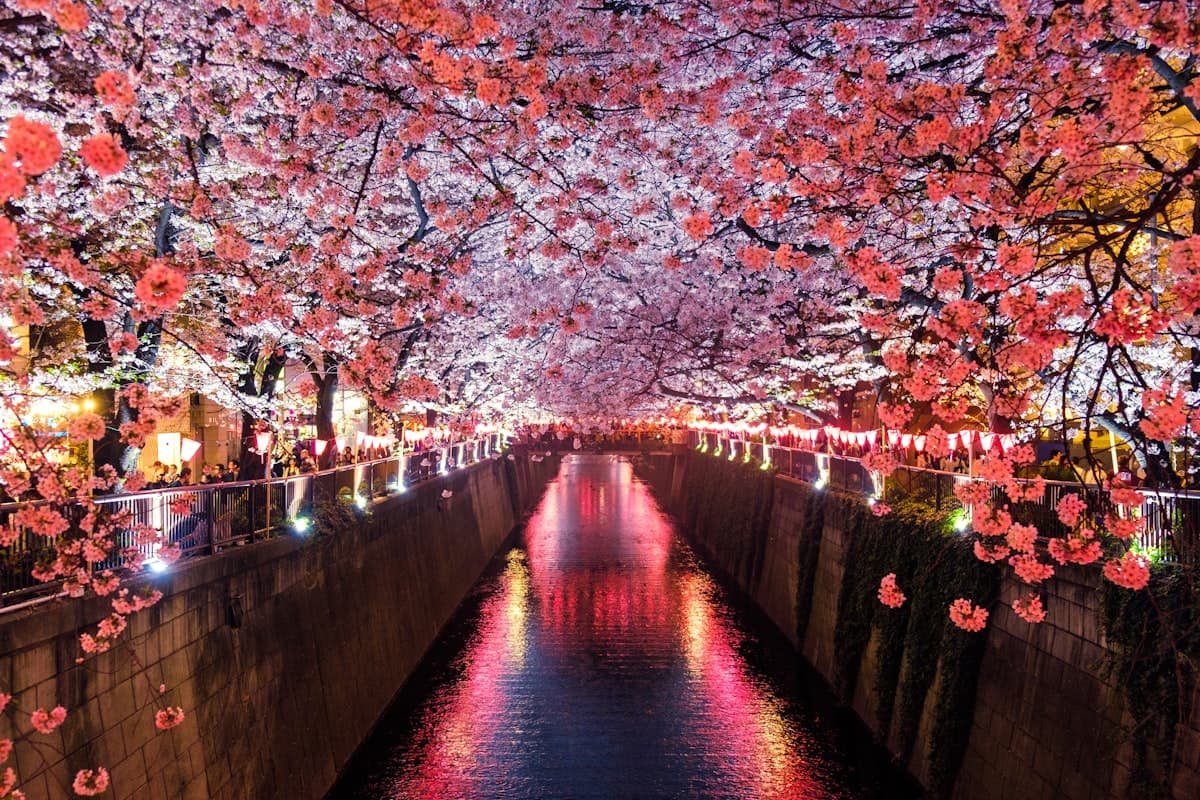 Kyoto’s Best Kept Secrets: Private Luxury Tour
