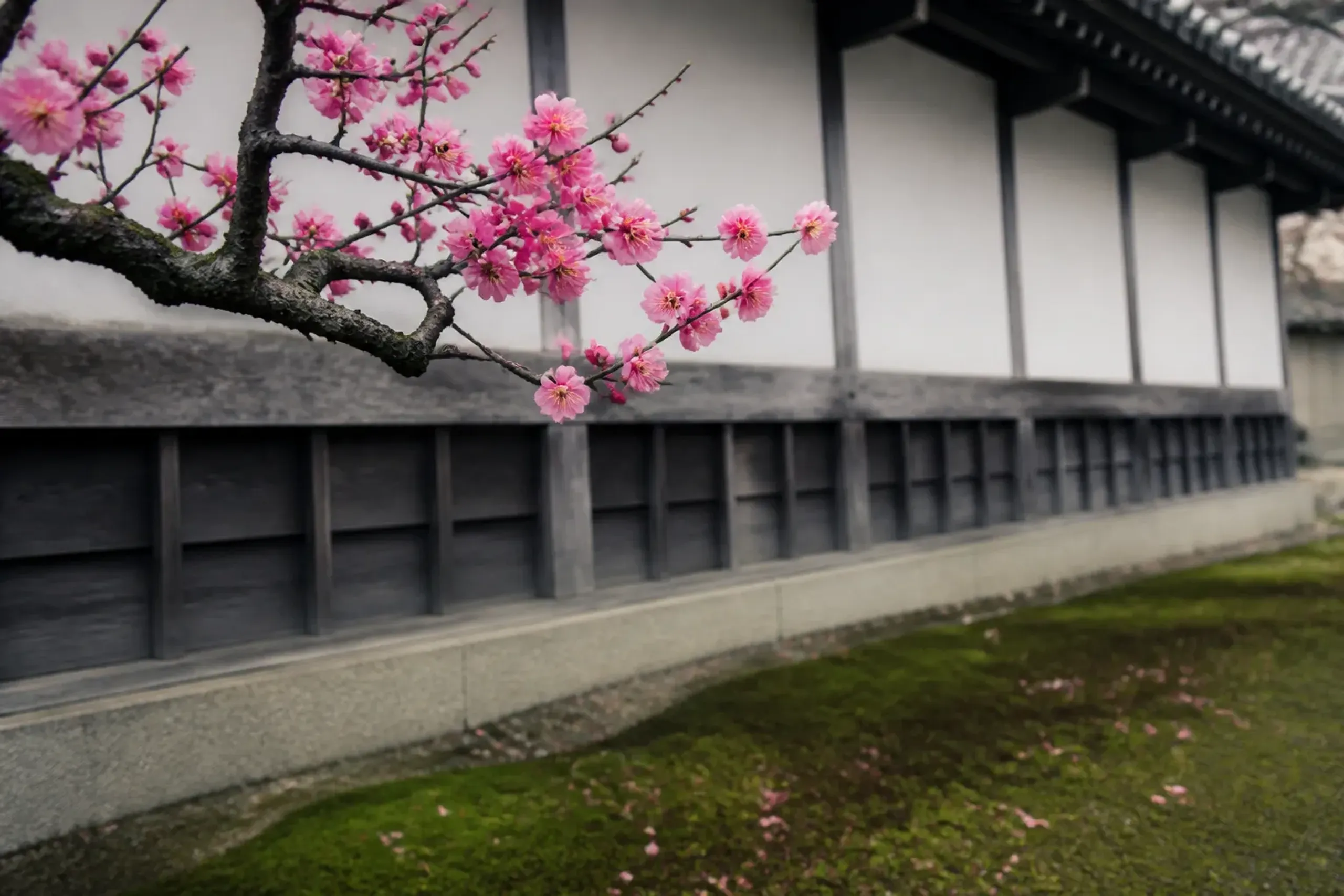 Early March gives you plum blossom instead of cherry, temper