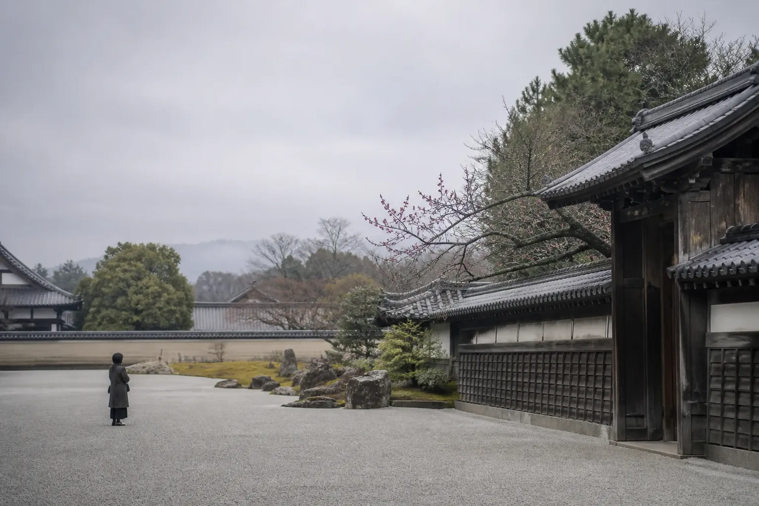 March in Kyoto rewards people who know exactly what they