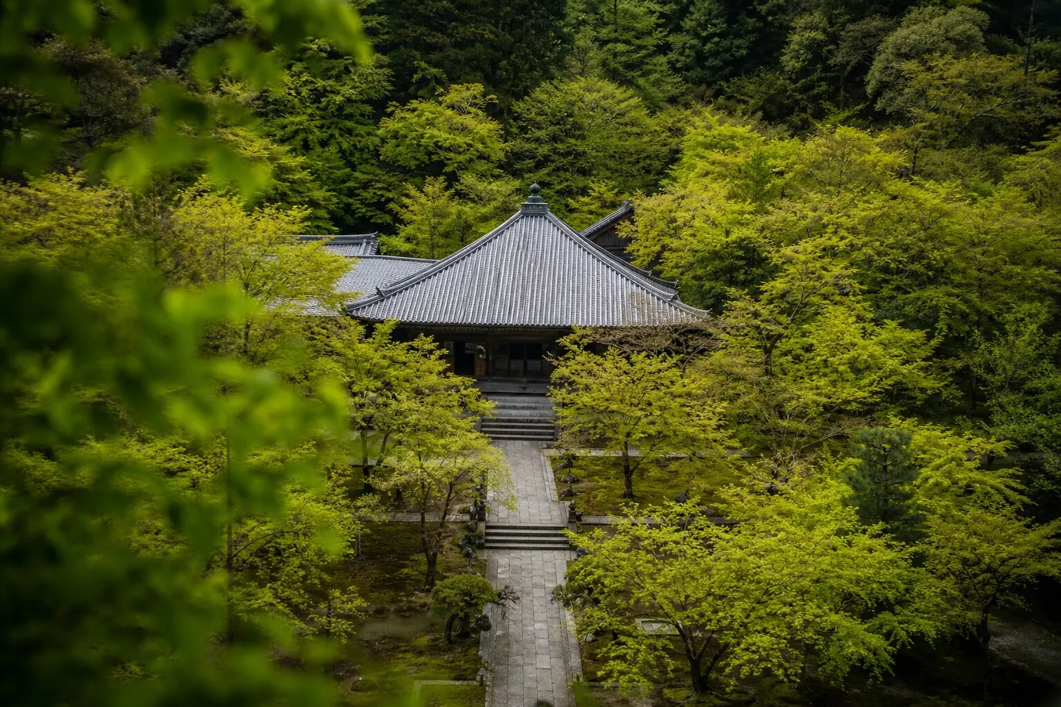 A quiet, hidden temple in Kyoto surrounded by vibrant green foliage