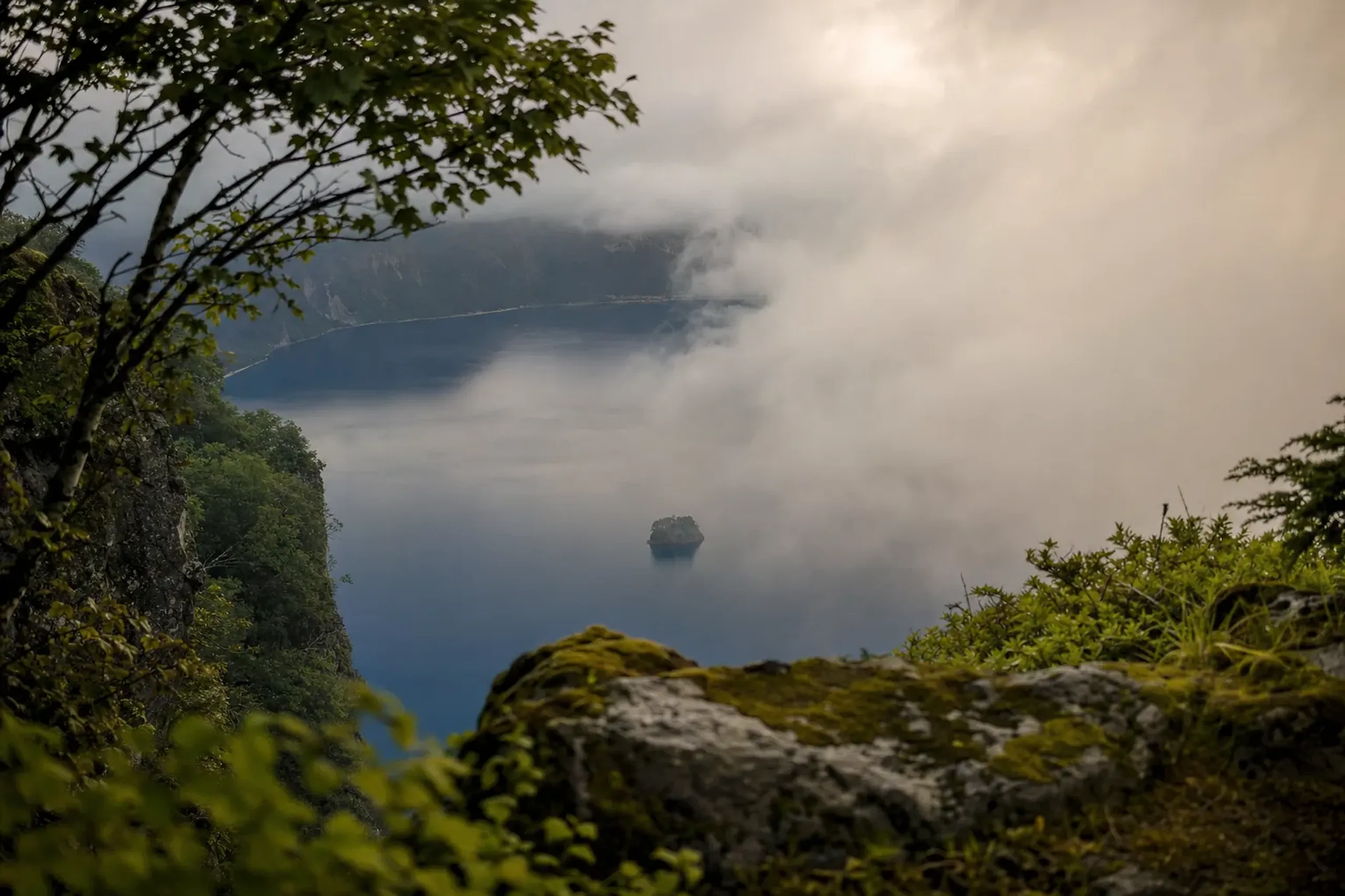 Fog is not a single condition. It is a moving
