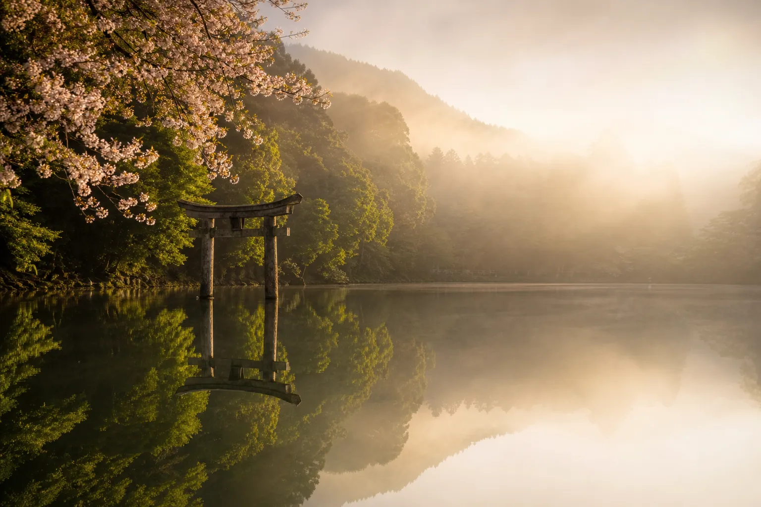 5 of Japan's Best Luxury Spring Destinations
