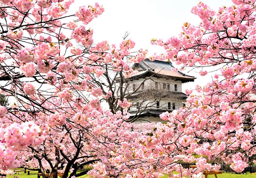 Matsumae Park (Matsumae Kōen)