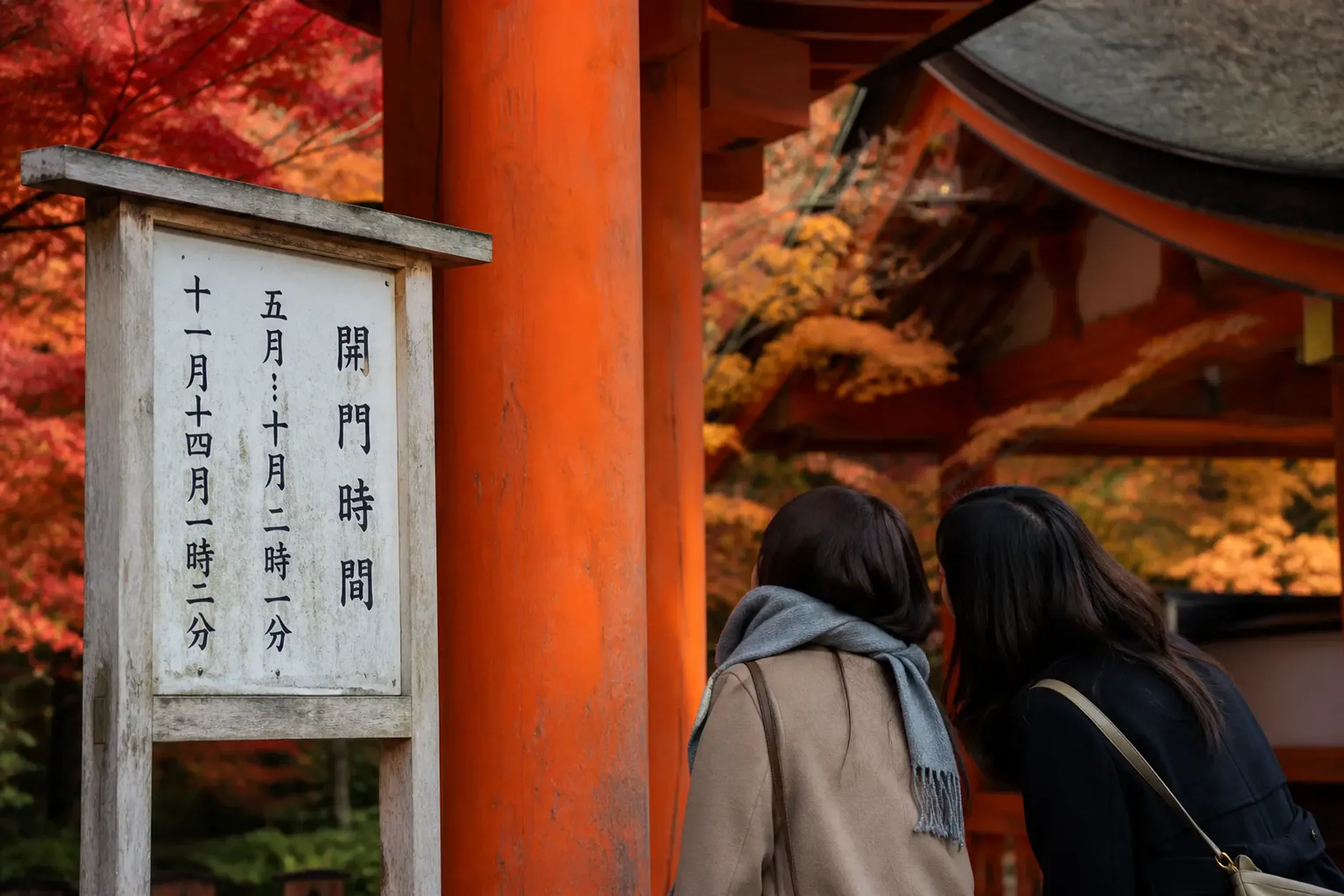 Visitors reading the Itsukushima Shrine opening hours sign near the entrance