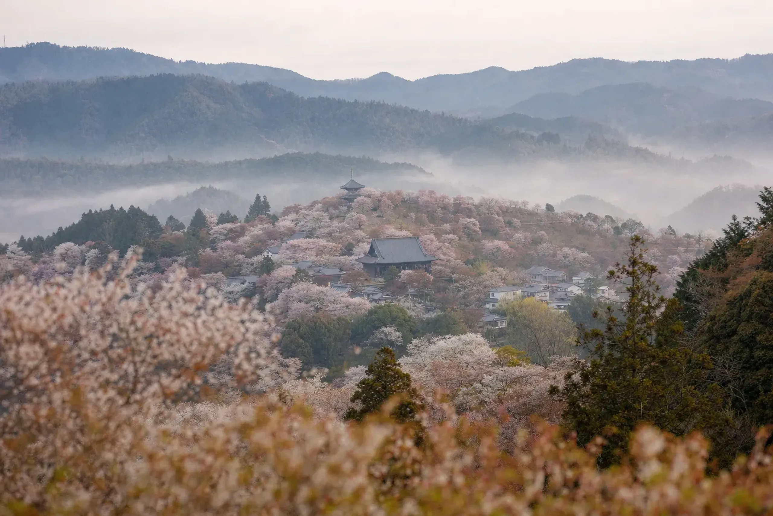 Mount Yoshino hillside covered with wild cherry blossoms above a traditional village in Nara