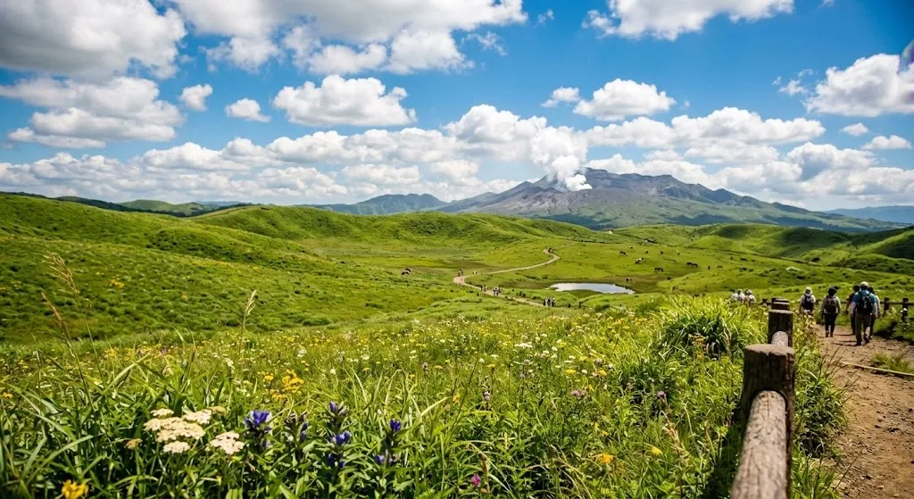Hikers crossing the wildflower grasslands of the Aso caldera toward the steaming volcano under a blue sky