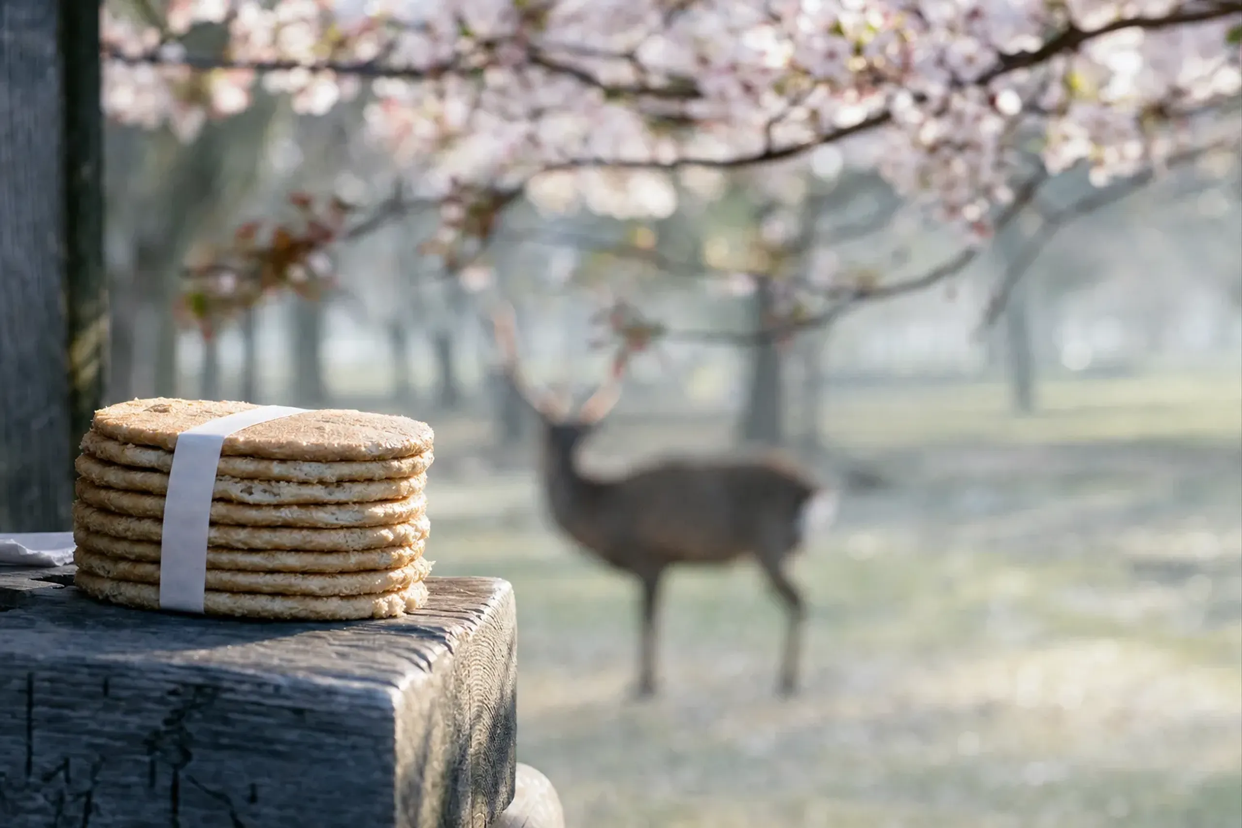 a stack of Nara shika-senbei deer crackers made of rice bran and wheat flour, resting on a weathered wooden stand in Nara Park