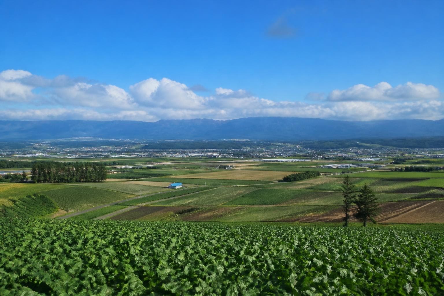 Obihiro: Hokkaido's Hidden Luxury Travel Destination