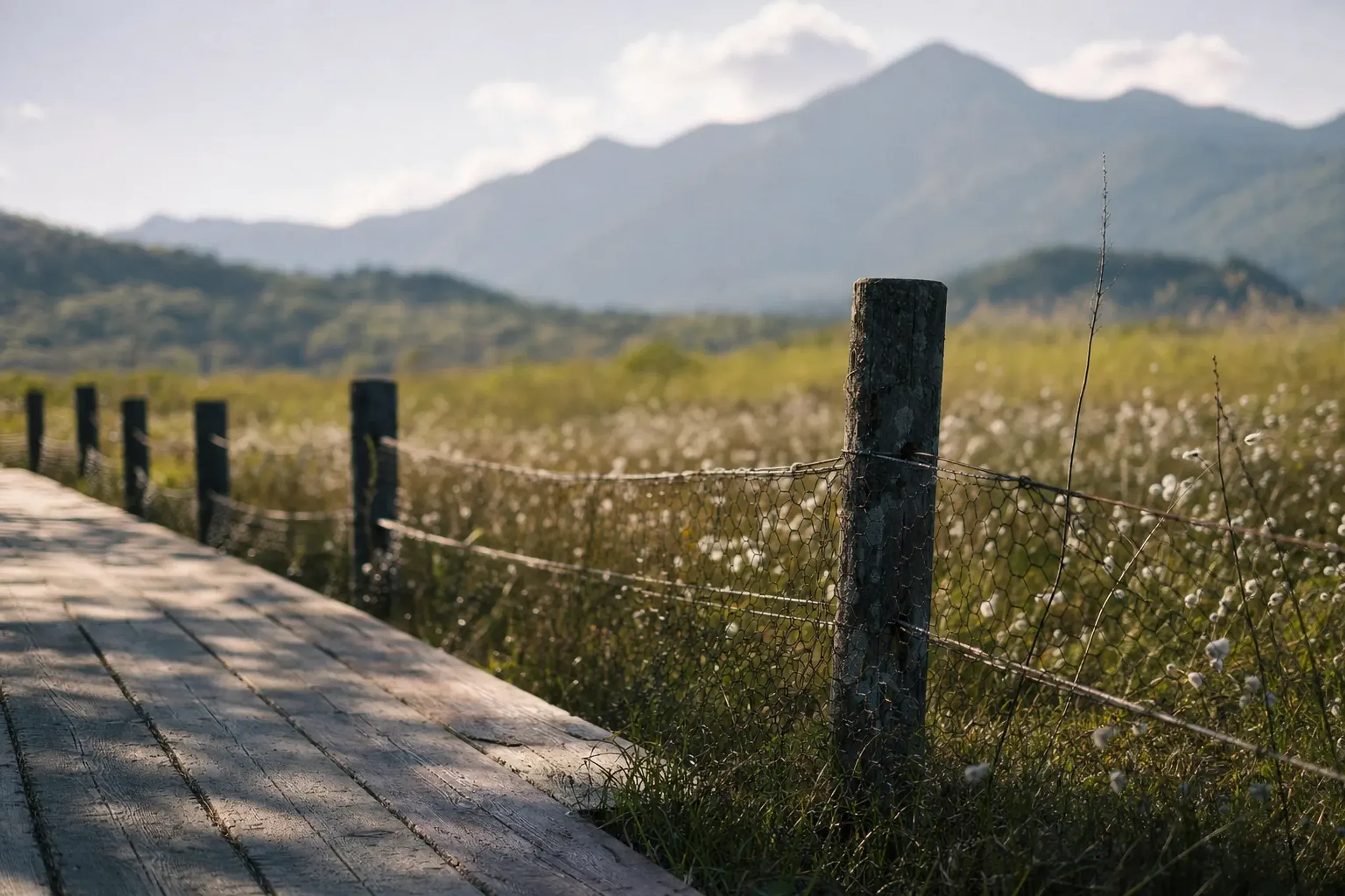 The protective deer fencing bordering a section of the Senjōgahara boardwalk shielding the mire plants
