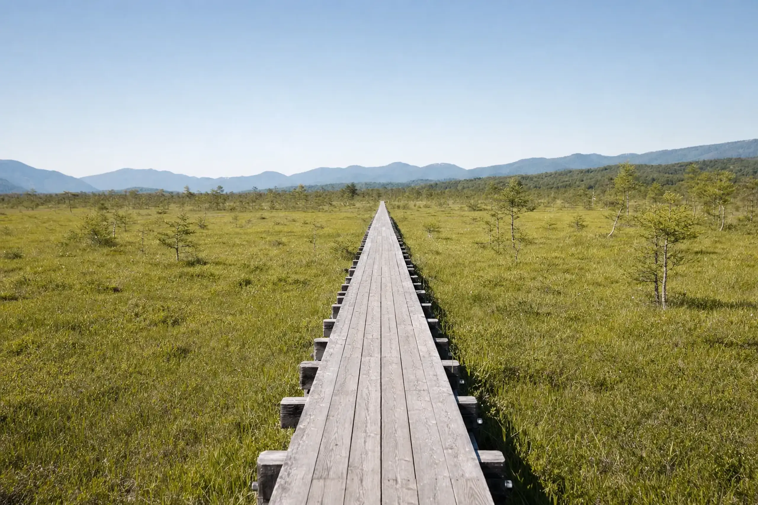 The raised wooden boardwalk running flat across the sunlit, shadeless expanse of Senjōgahara marsh