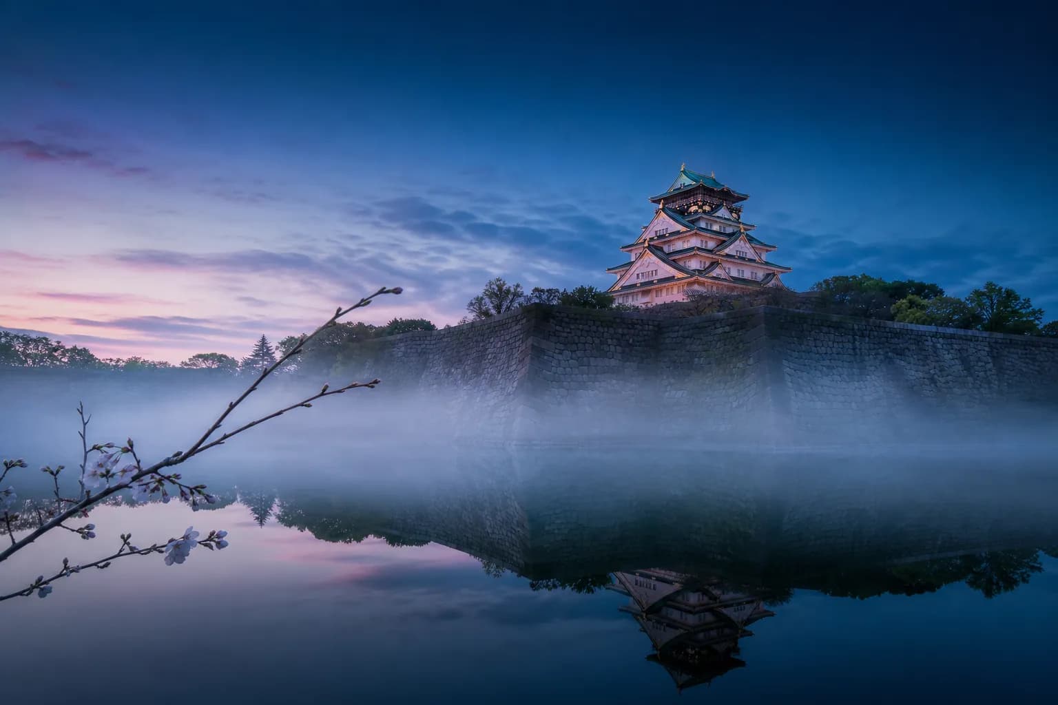 The Ultimate Guide to Osaka Castle: Must-Know Facts & Hidden Gems