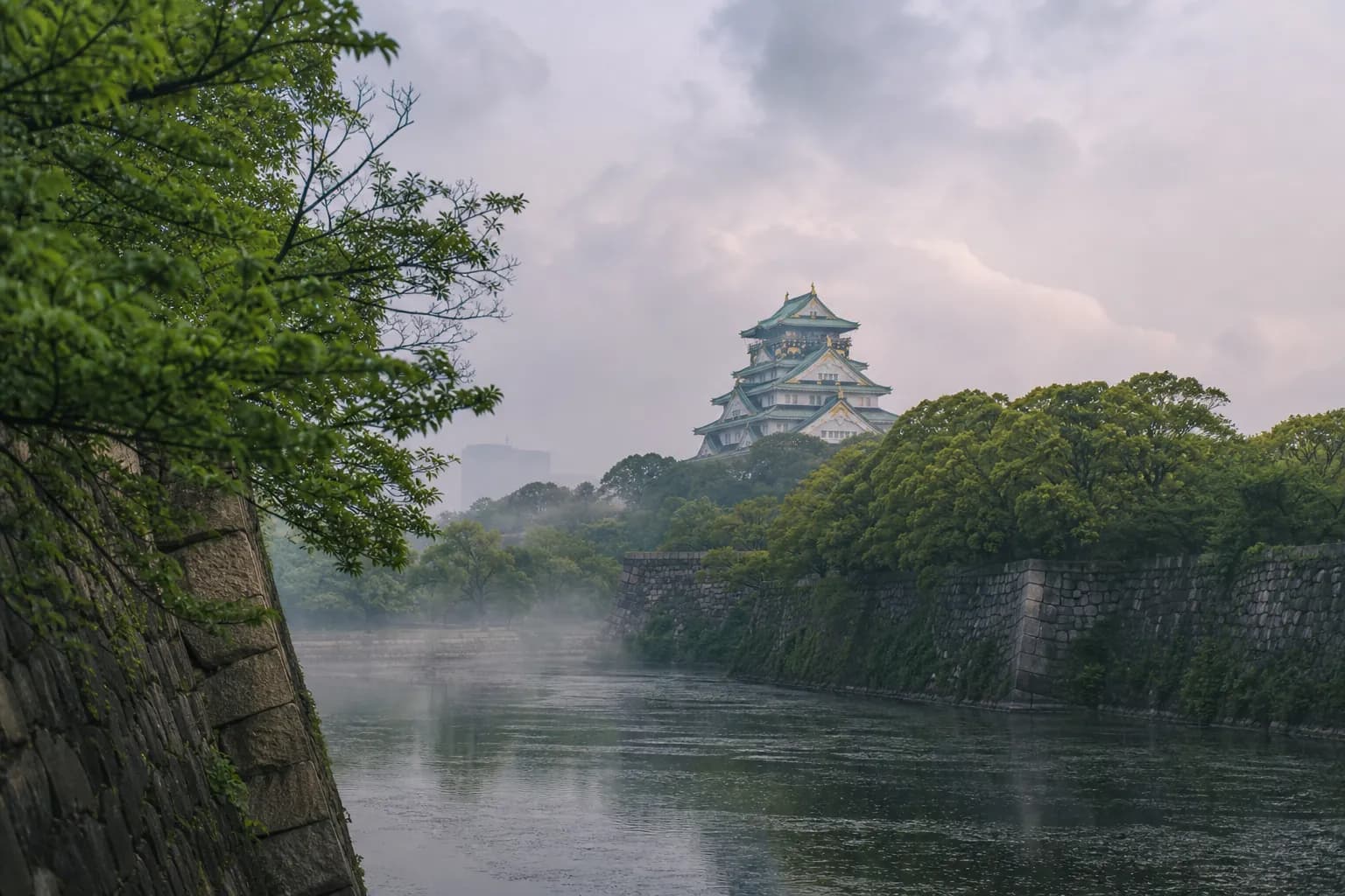 Ultimate Private Osaka Sakura Photo Secrets