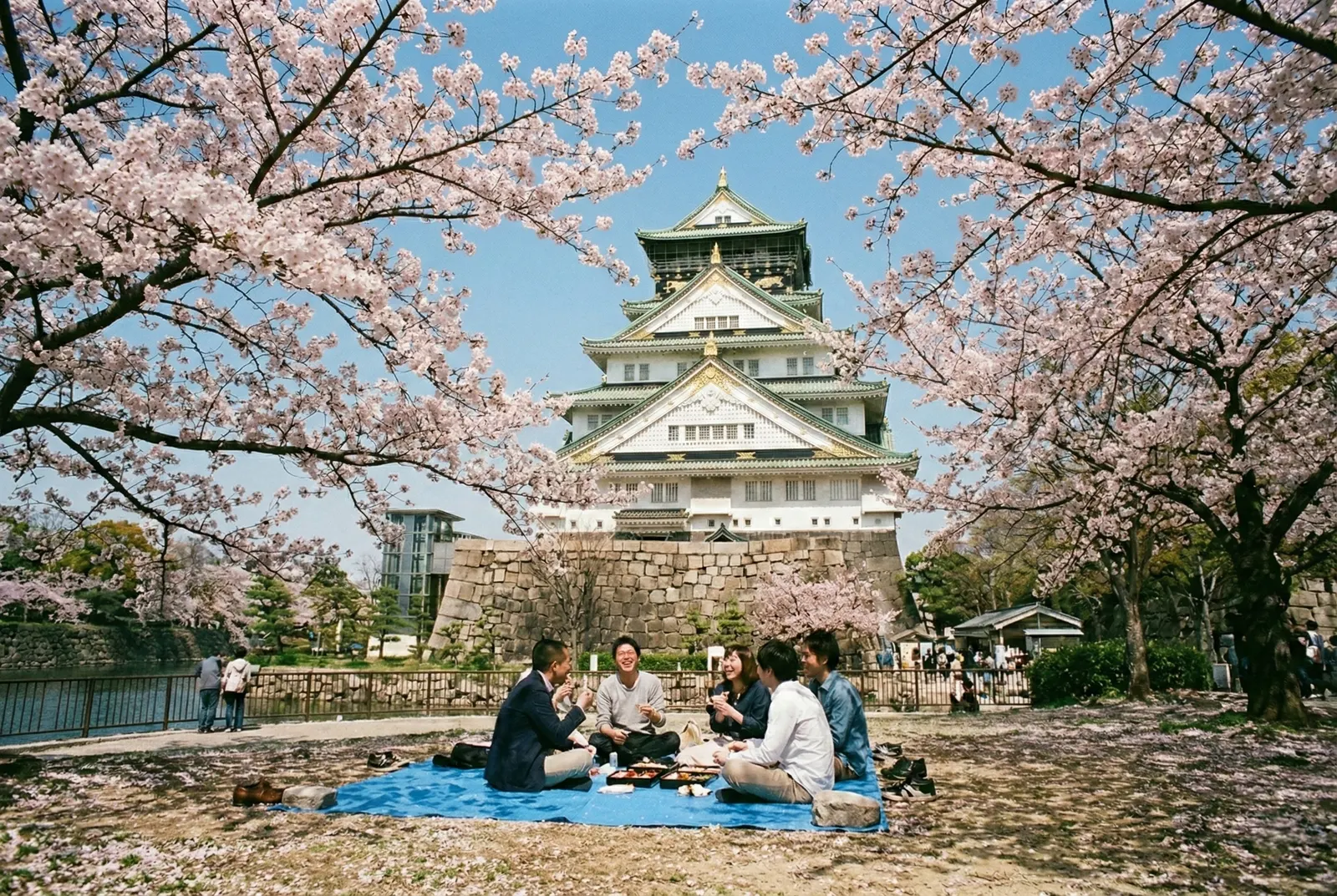 Friends enjoying a hanami picnic under cherry blossoms in front of Osaka Castle