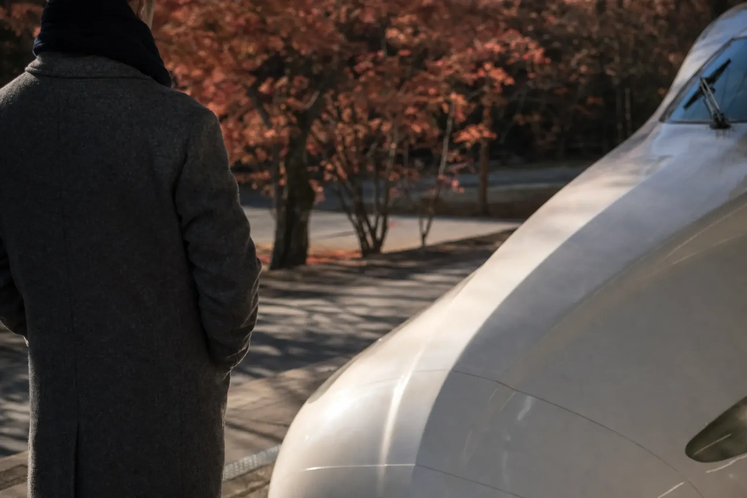 If you want the shinkansen to feel like the elegant