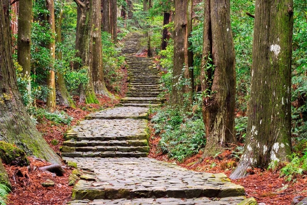 Private Kumano Kodo: Exclusive Green Season Adventures