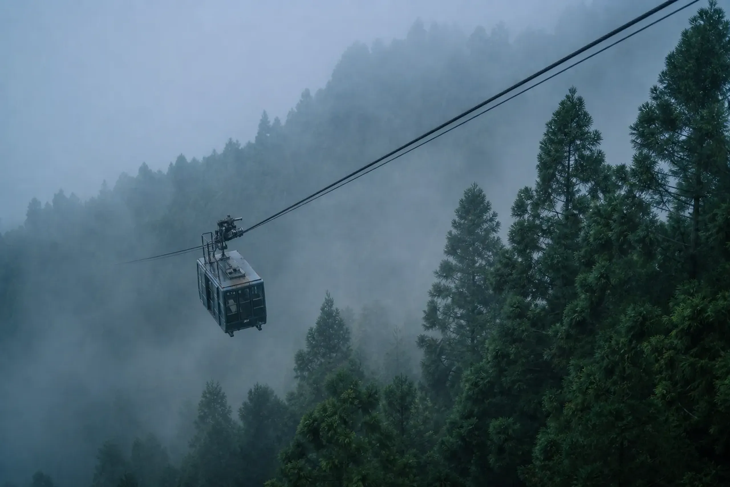 The narrow ropeway ascending through cedar forest to Engyoji temple on the summit of Mt. Shosha, cars gliding above mist-shrouded slopes