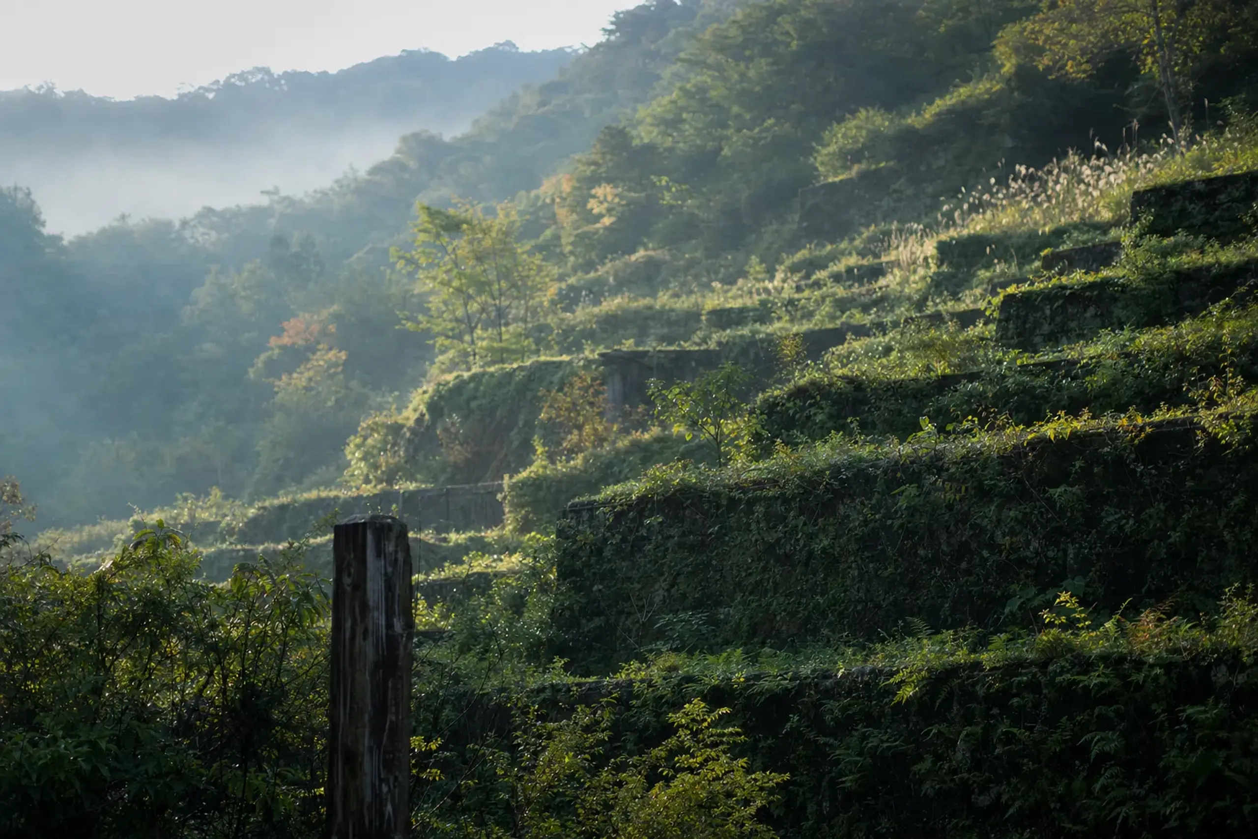 Inland above Aikawa sit the