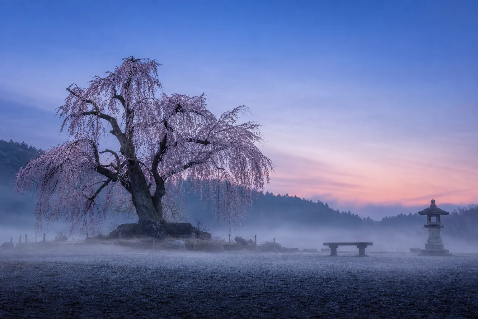 Sakura Furusato Square Guide: Explore Japan’s Blossoming Gem 2026