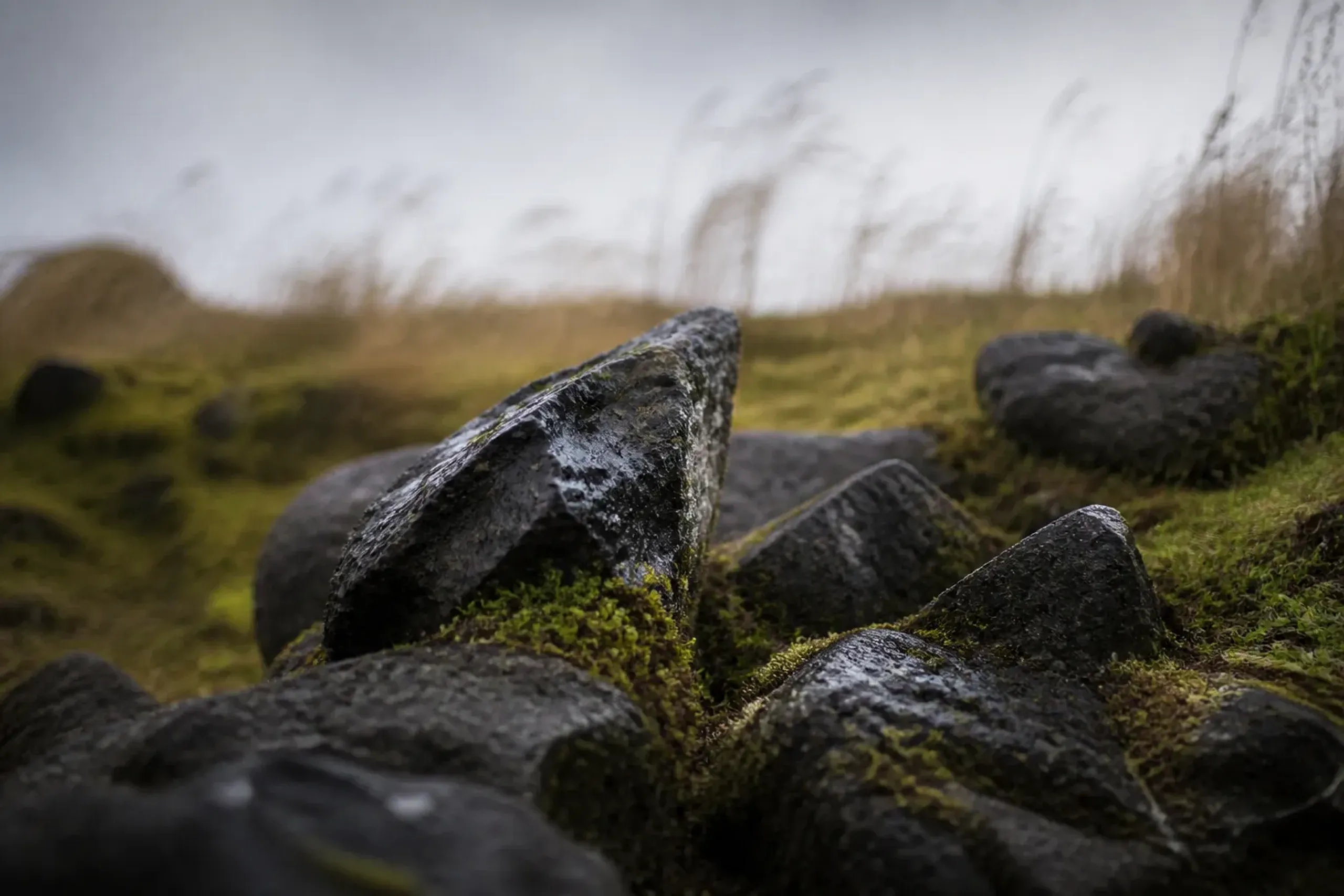 the dark andesite outcrops of the Goshikidai plateau hillside in Kagawa, black sanukite stones scattered across the volcanic ground