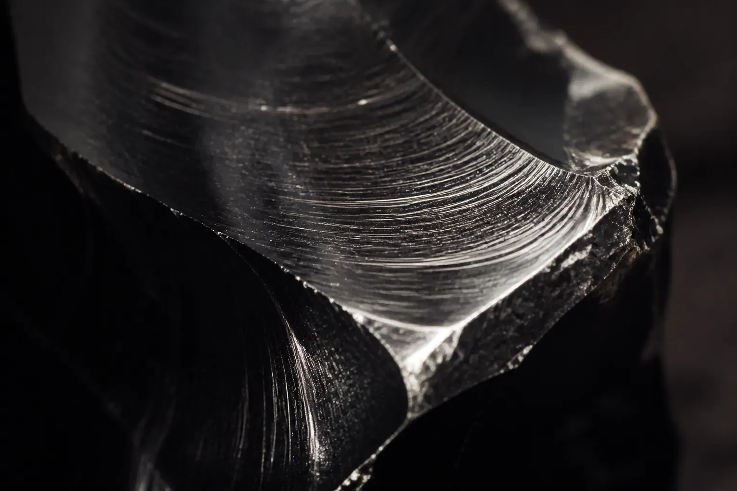 an extreme close-up of a freshly fractured sanukite surface showing its glassy, homogeneous black texture with fine needle-shaped mineral alignment