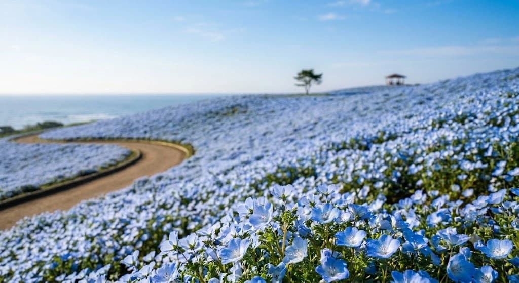See the Famous Sea of Blue in True Luxury
