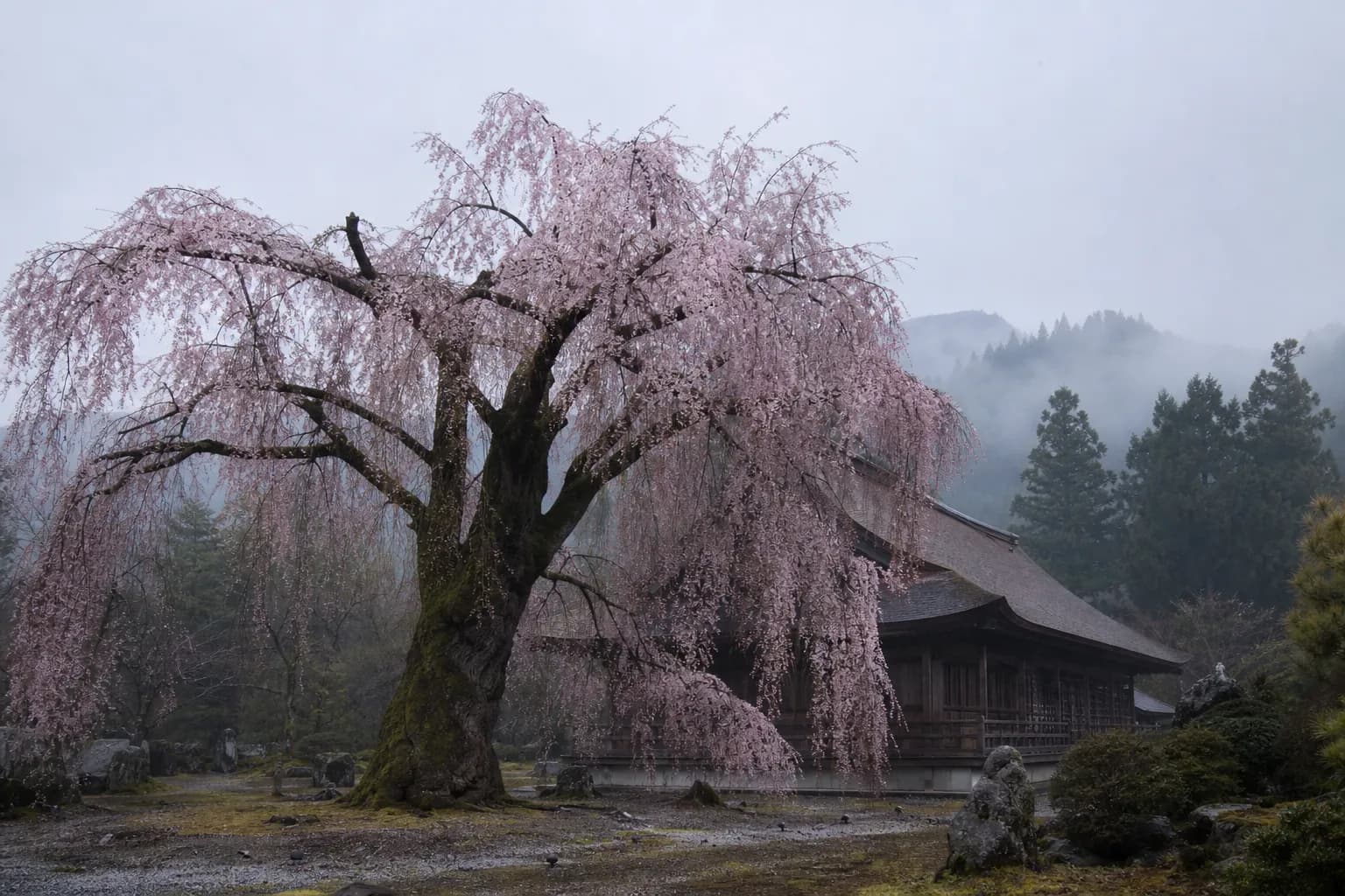 Seiunji Temple, Chichibu (Saitama)