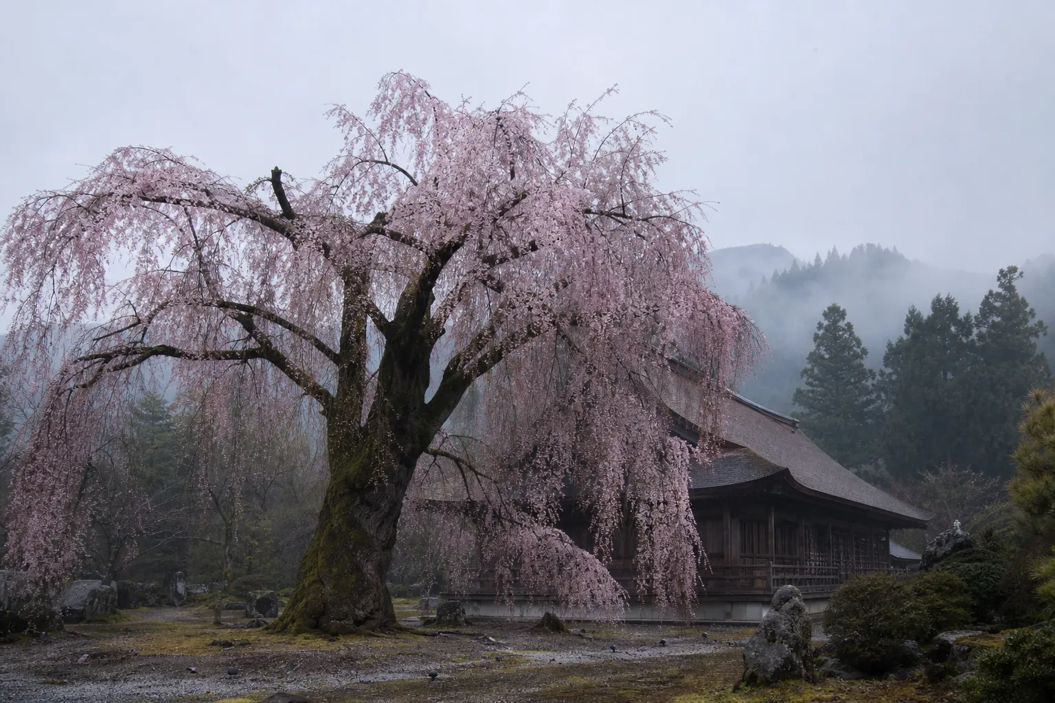 Seiunji Temple, Chichibu (Saitama)