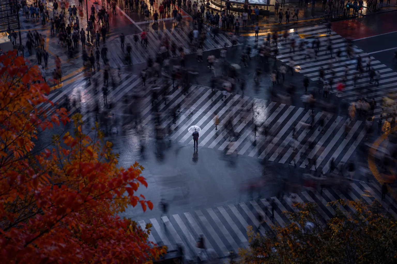 How to Cross Shibuya: Avoid Crowds & Get the Best Photos