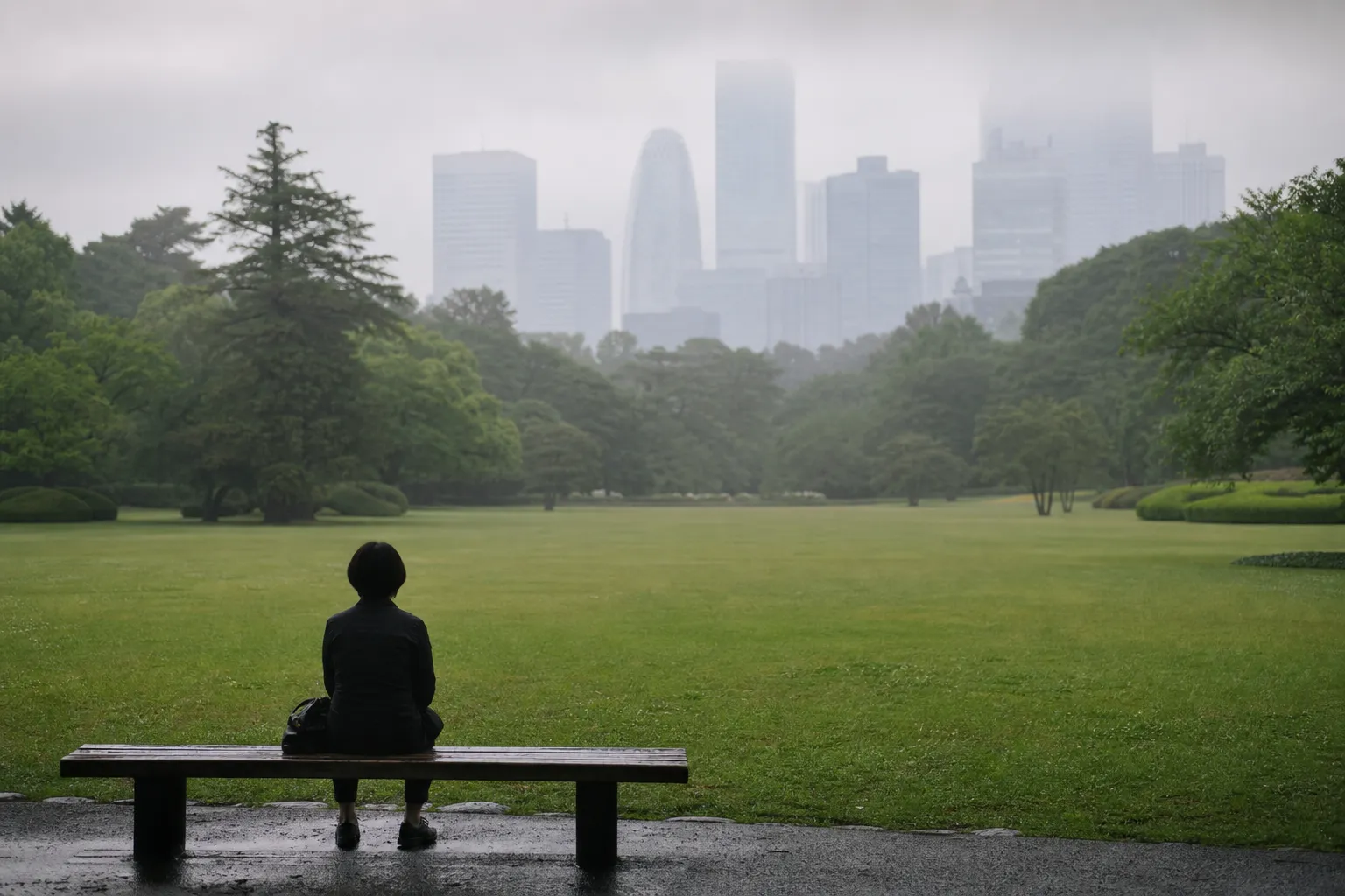 Inside Shinjuku Gyoen: Finding Peace in the Heart of Tokyo