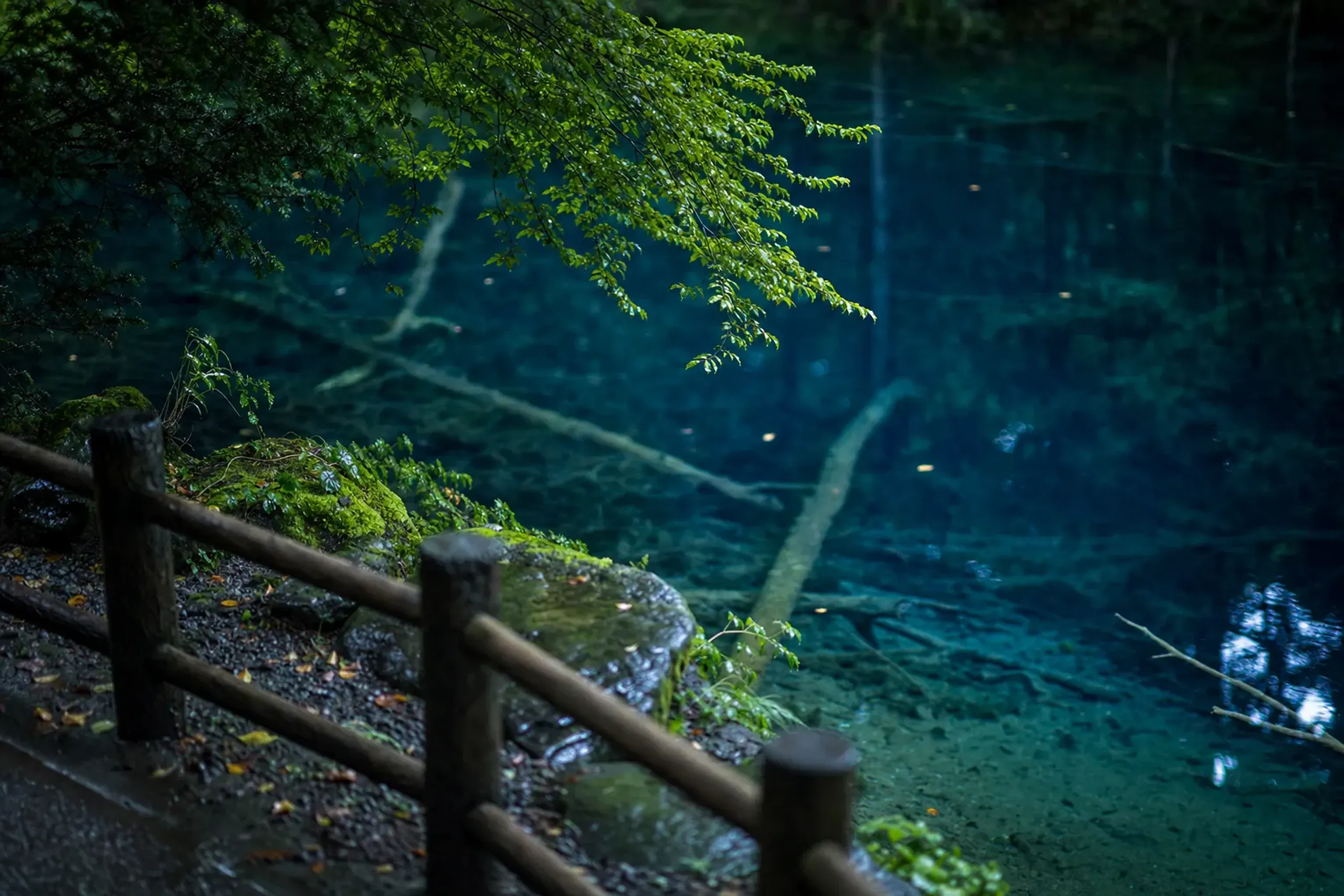 Aoike, the cobalt-blue pond at Jūniko in Fukaura, its deep blue water so clear that sunken trees rest visible on the bottom