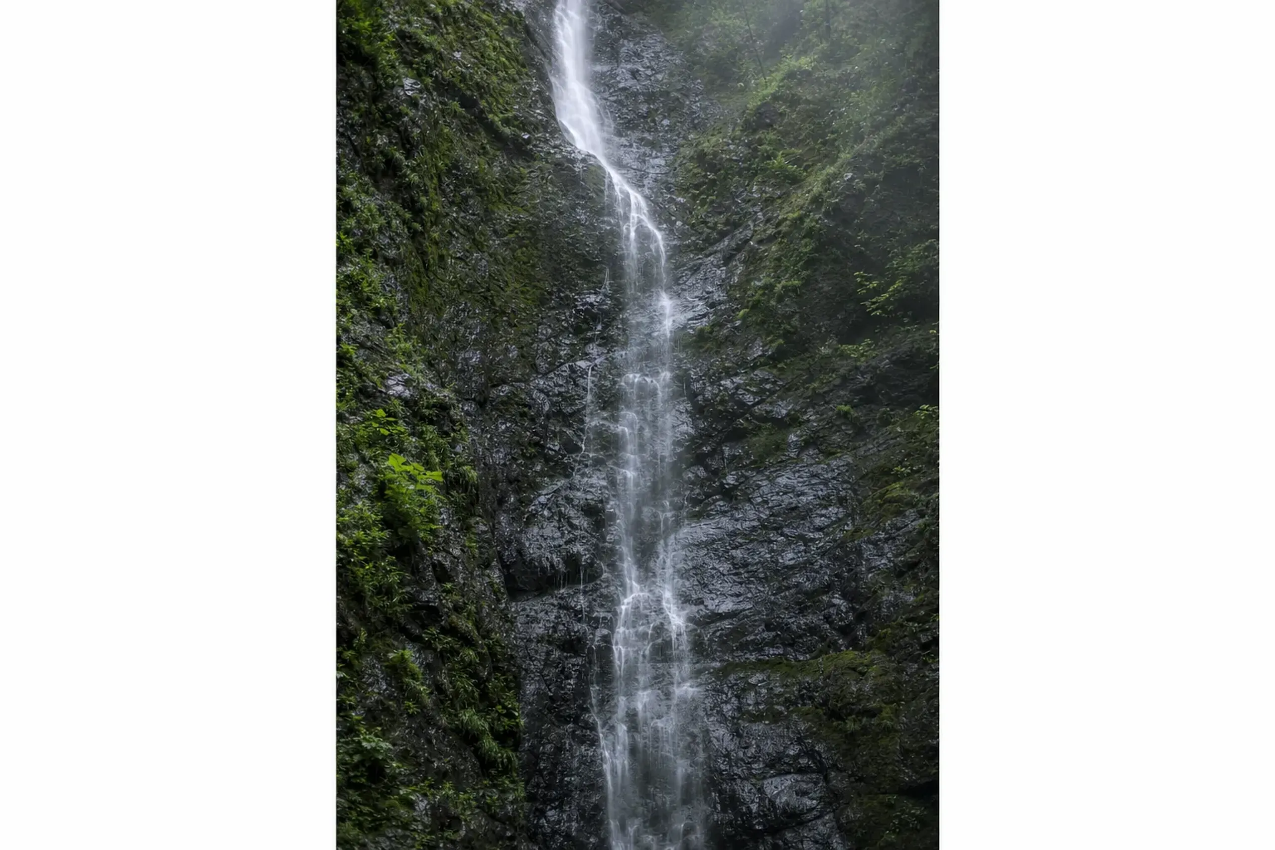 The three-tiered Anmon Falls cascading 42, 37, and 26 metres down the moss-lined gorge rock walls of Shirakami-Sanchi