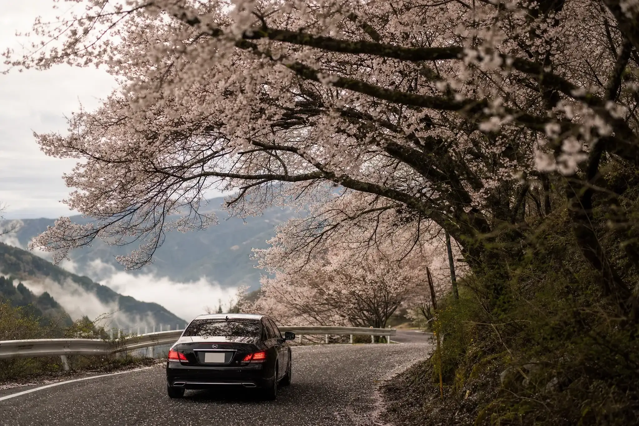 For clients who prefer to travel by road, our team