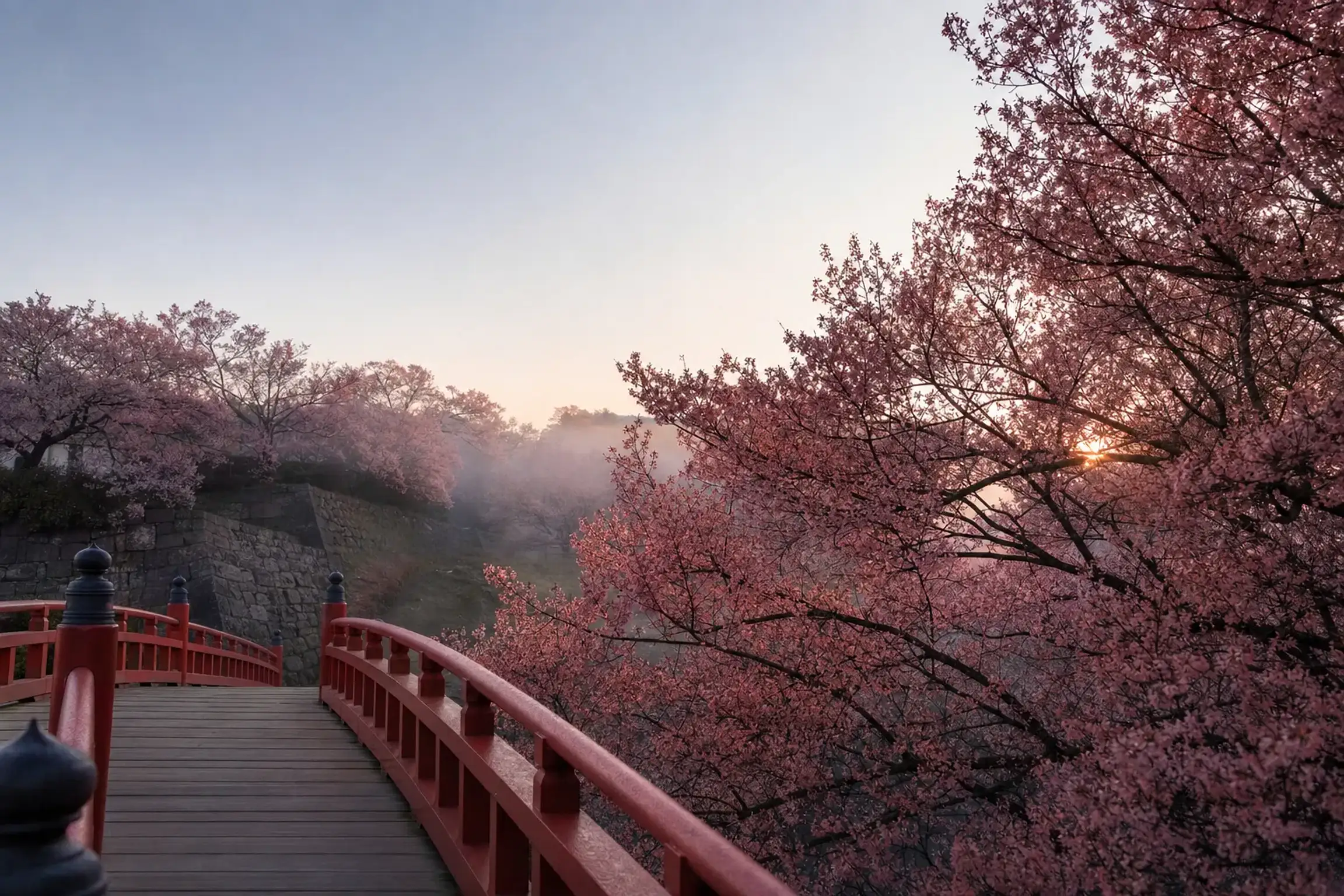 Takatō is widely counted among Japan’s three great sakura si