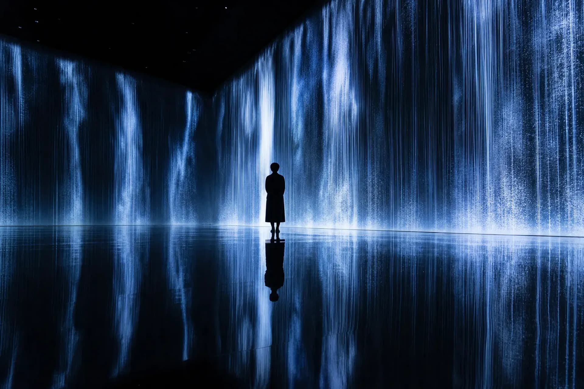 teamLab Borderless: MORI Building DIGITAL ART MUSEUM